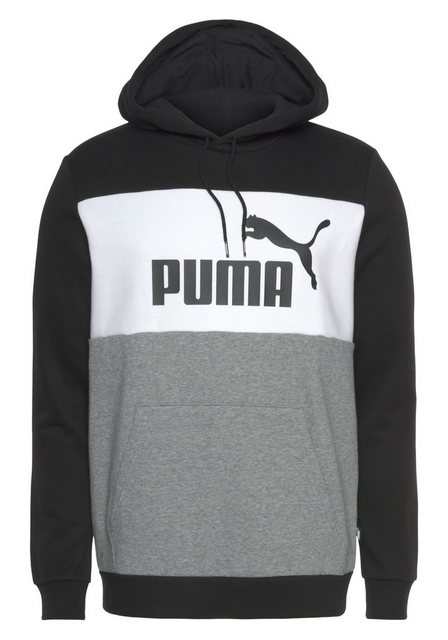 PUMA Kapuzensweatshirt ESS+ COLORBLOCK HOODIE FL günstig online kaufen