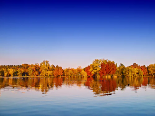 Papermoon Fototapete »Autumn Lake« günstig online kaufen