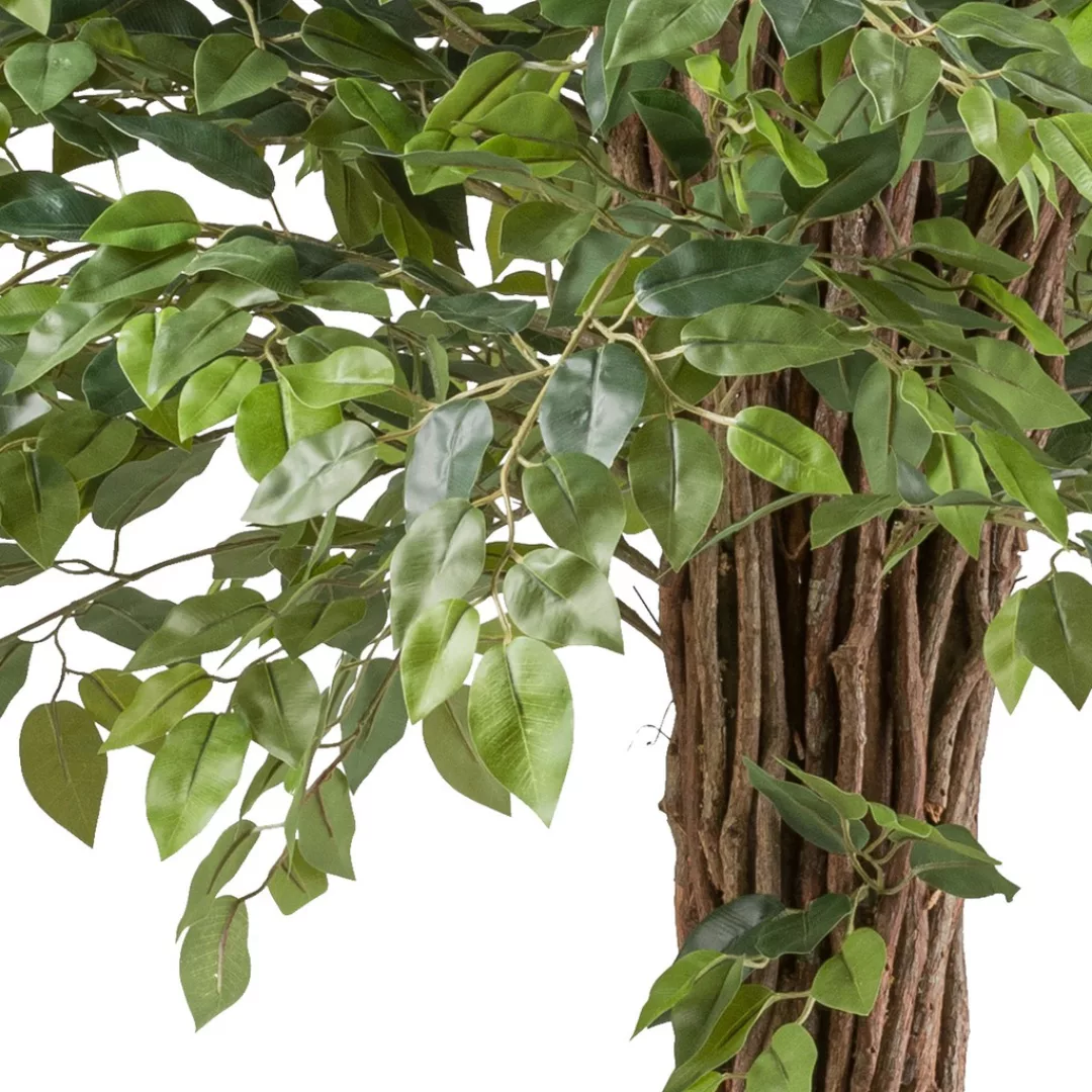 Creativ green Kunstpflanze "Ficus benjamina", mit lianenartigem Stamm günstig online kaufen