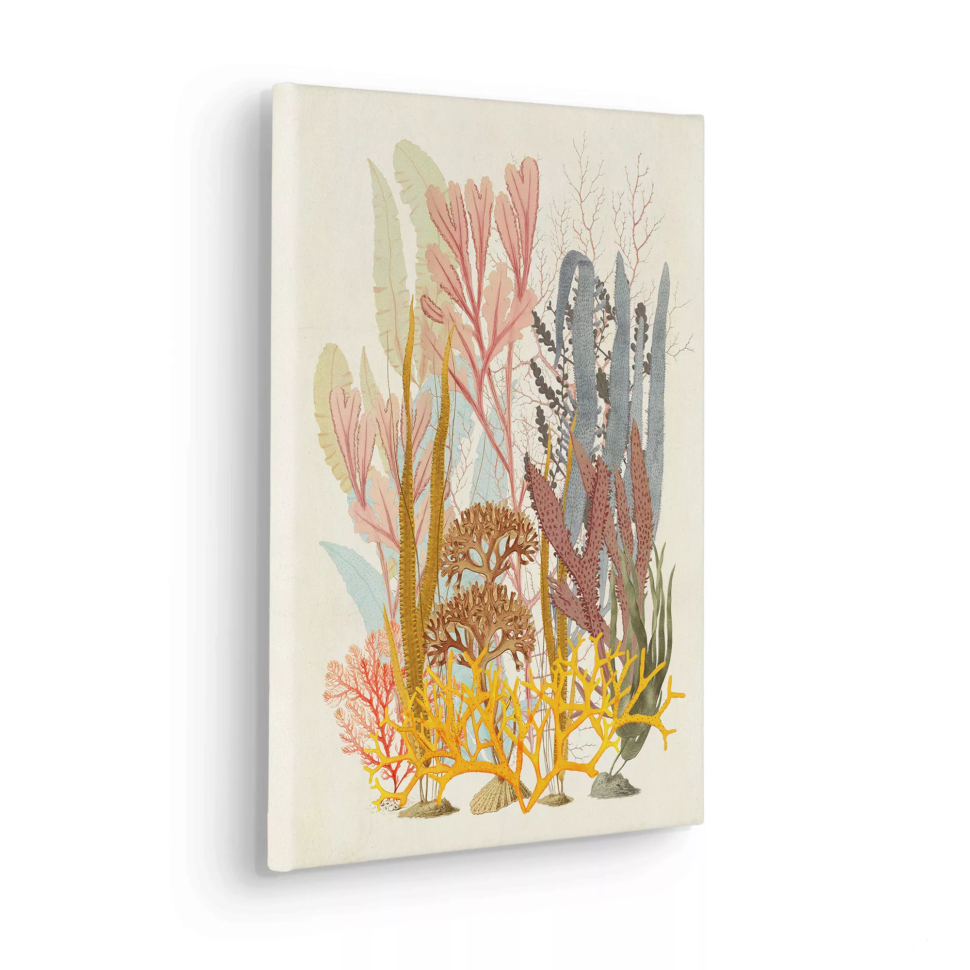 Komar Leinwandbild »Coral Aqua«, (1 St.), 30x40 cm (Breite x Höhe), Keilrah günstig online kaufen