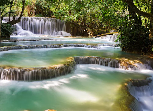 Papermoon Fototapete »Forest Waterfall Laos« günstig online kaufen