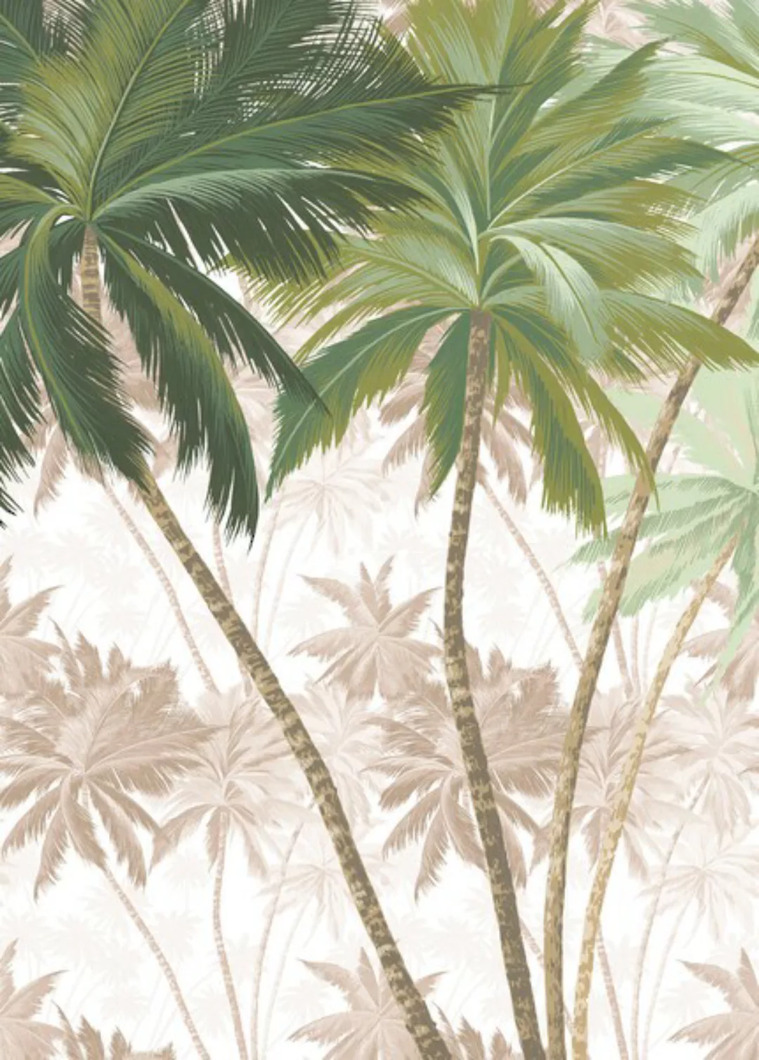 Komar Fototapete Vlies Palmera  200 x 280 cm günstig online kaufen