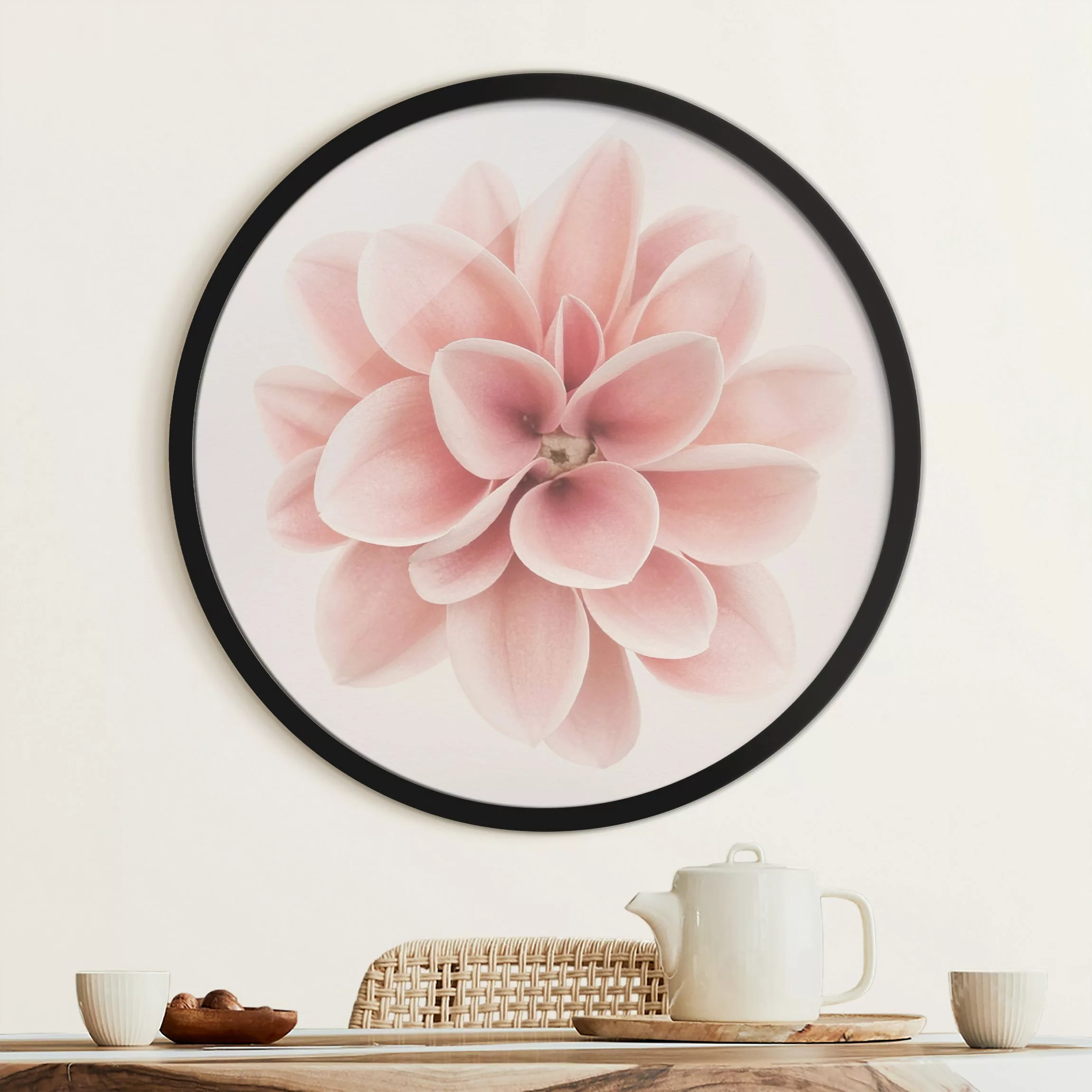 Rundes Gerahmtes Bild Dahlie Rosa Pastell Blume Zentriert günstig online kaufen