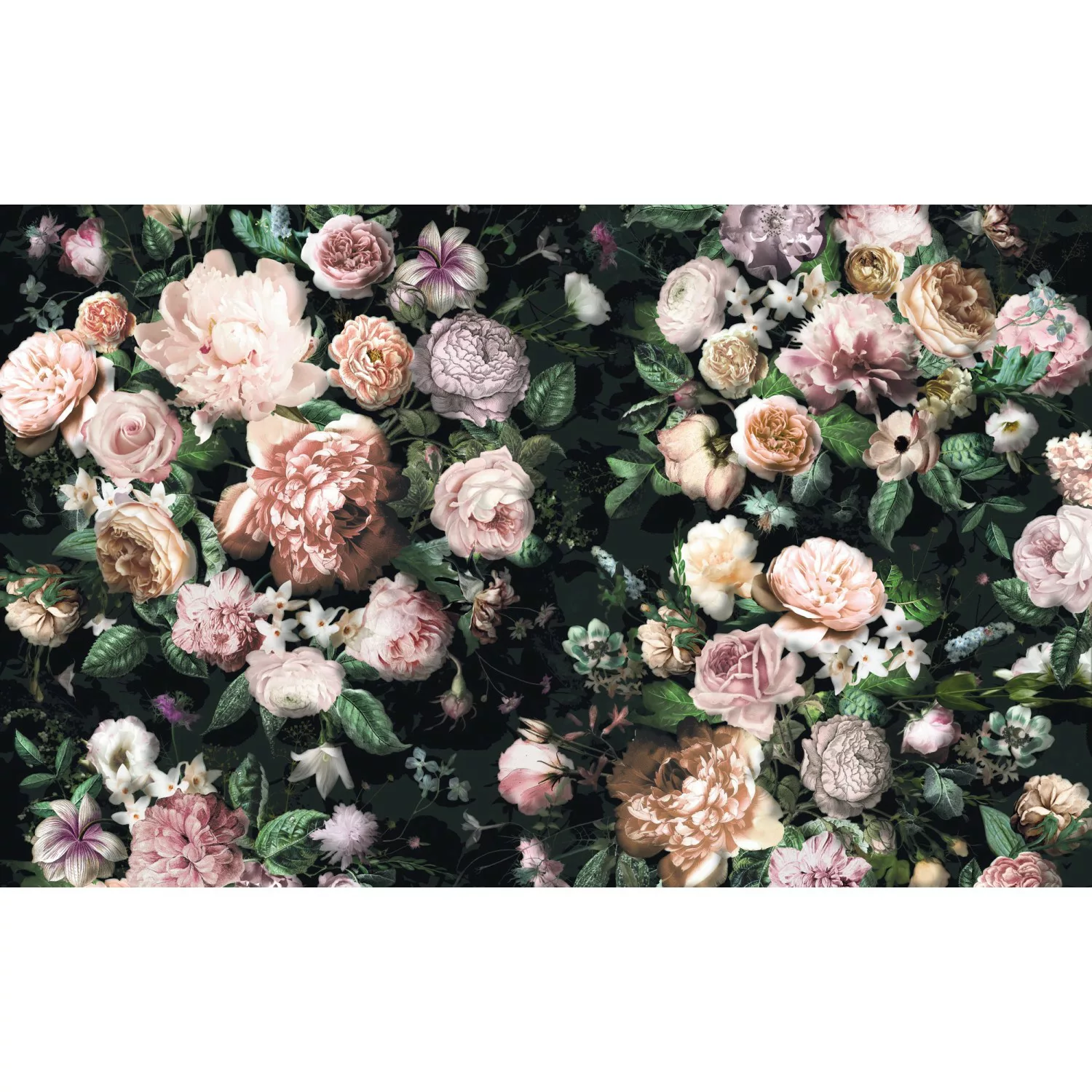 KOMAR Vlies Fototapete - Victoria Black - Größe 400 x 250 cm mehrfarbig günstig online kaufen