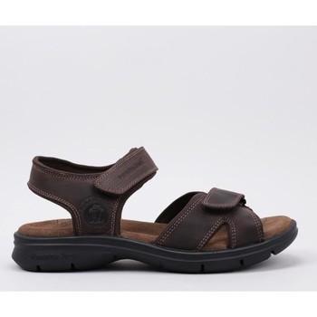 Panama Jack  Sandalen Sanders Basics C1 günstig online kaufen