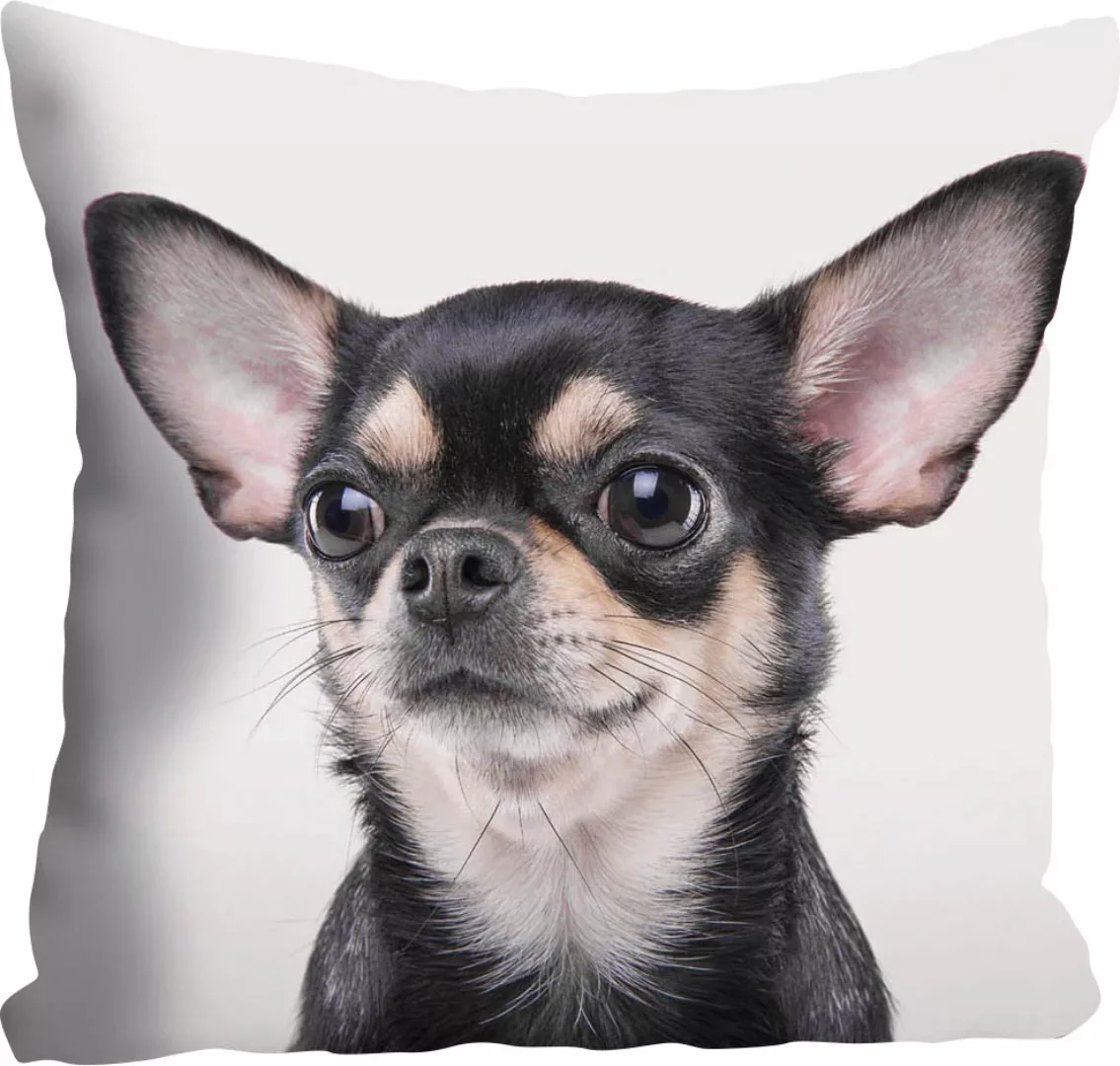 queence Dekokissen »Mailin«, mit Chihuahua, Kissenhülle ohne Füllung, 1 Stü günstig online kaufen