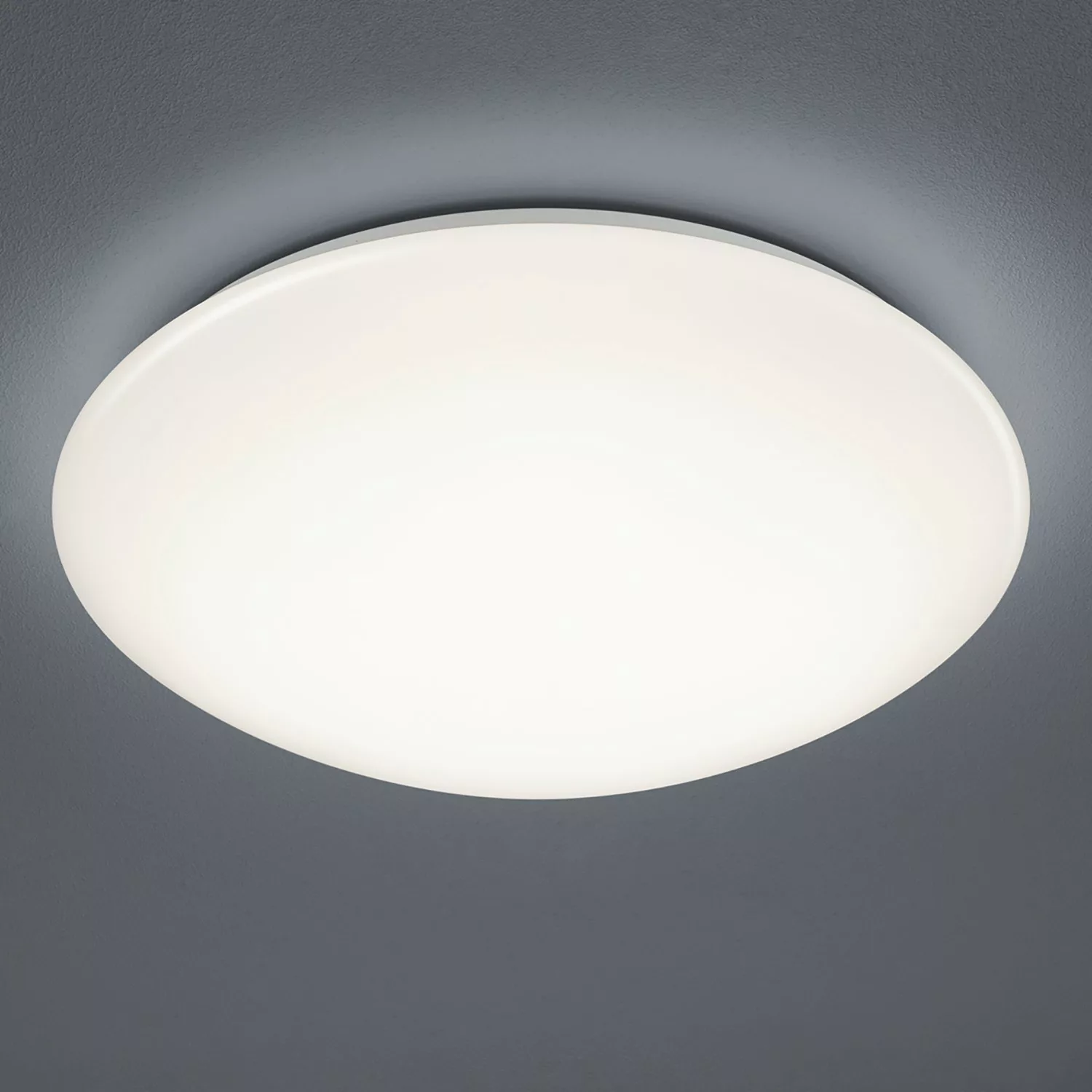 TRIO Leuchten LED Deckenleuchte »PUTZ«, 1 flammig-flammig, LED Deckenlampe günstig online kaufen