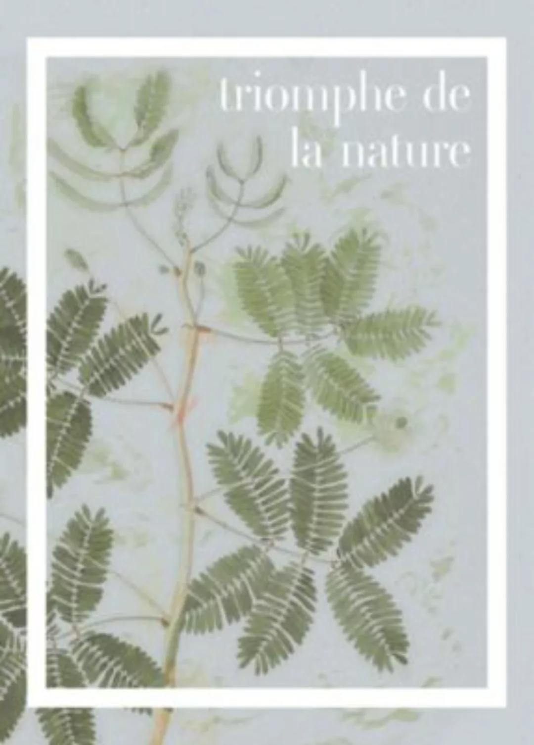 Komar Wandbild "Triomphe de la nature", (1 St.), Deutsches Premium-Poster F günstig online kaufen