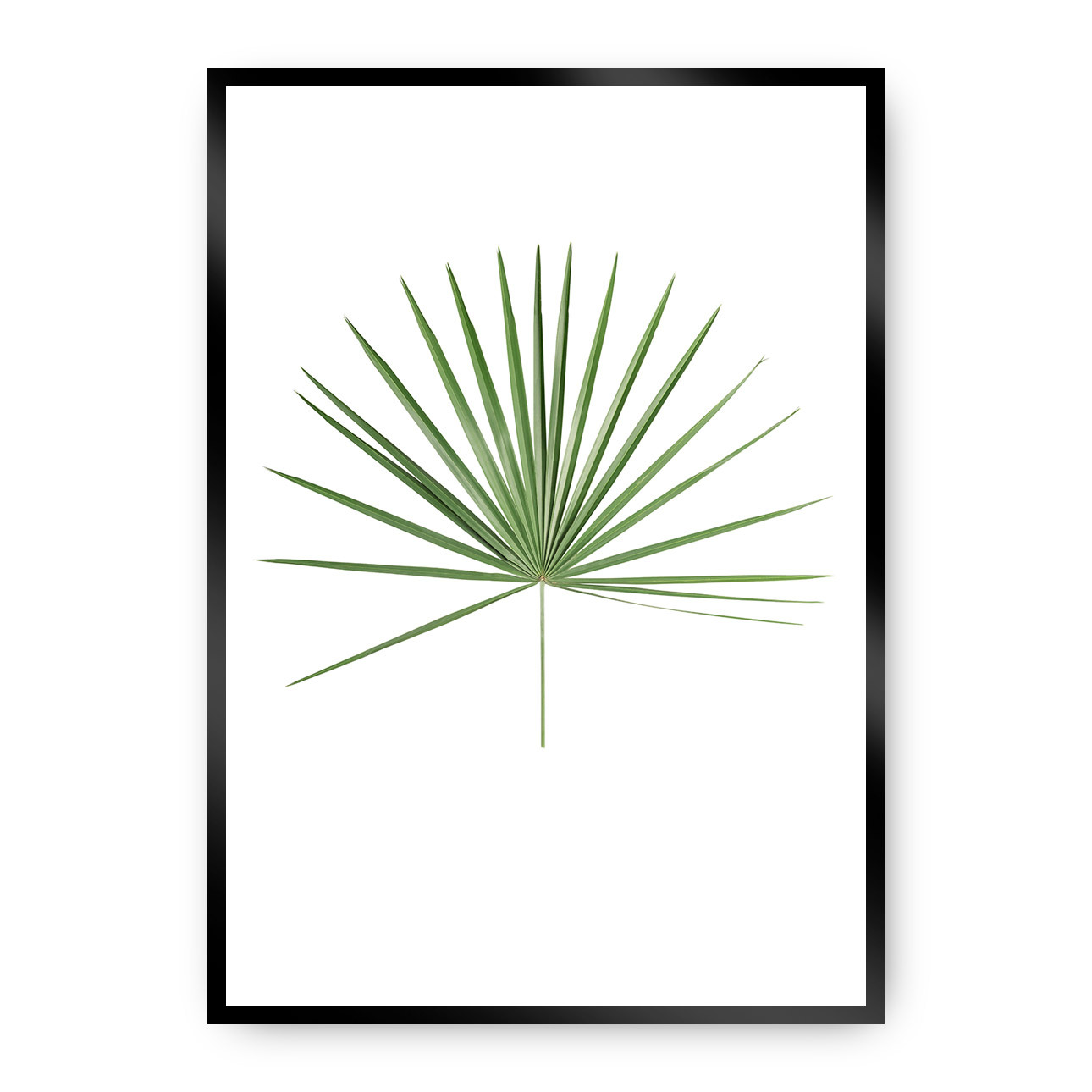 Poster Tropical Leaf Green, 70 x 100 cm, Rahmen wählen: schwarz günstig online kaufen