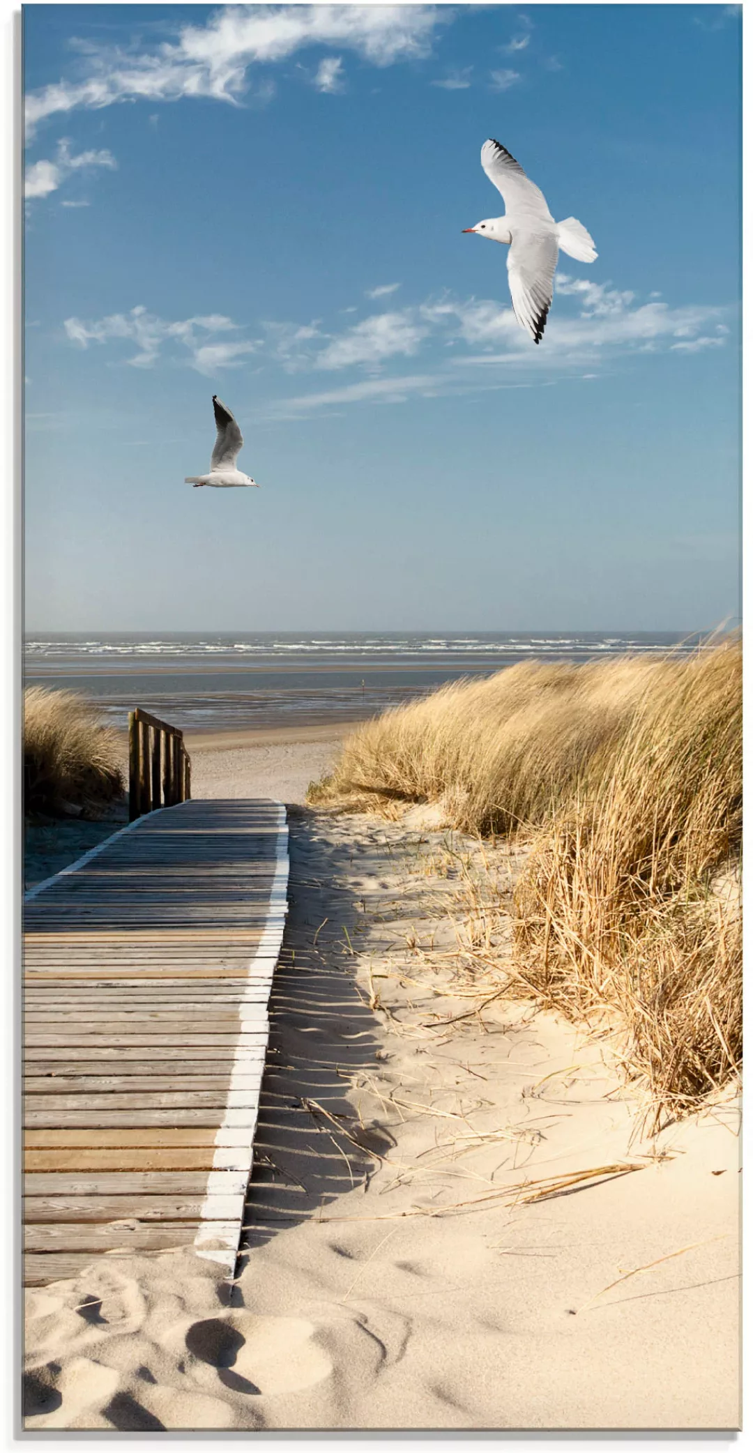 Artland Glasbild "Nordseestrand auf Langeoog mit Möwen", Strand, (1 St.), i günstig online kaufen