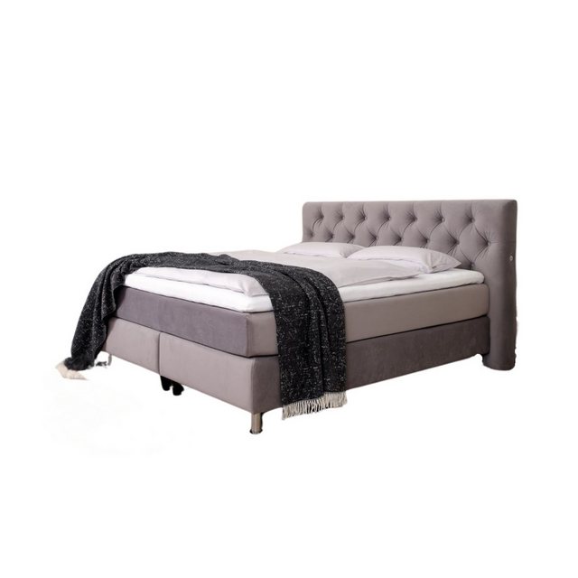 Terra Home Boxspringbett Terra Home Boxspringbett Chesterfield grau, 180x20 günstig online kaufen