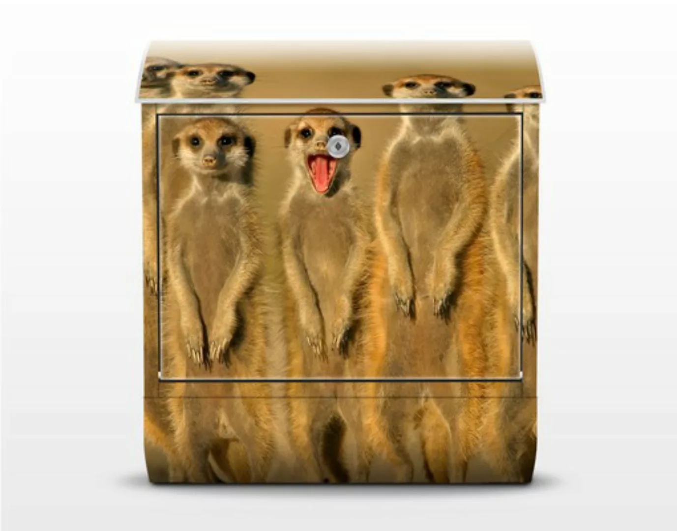 Briefkasten Tiere Meerkat Family günstig online kaufen
