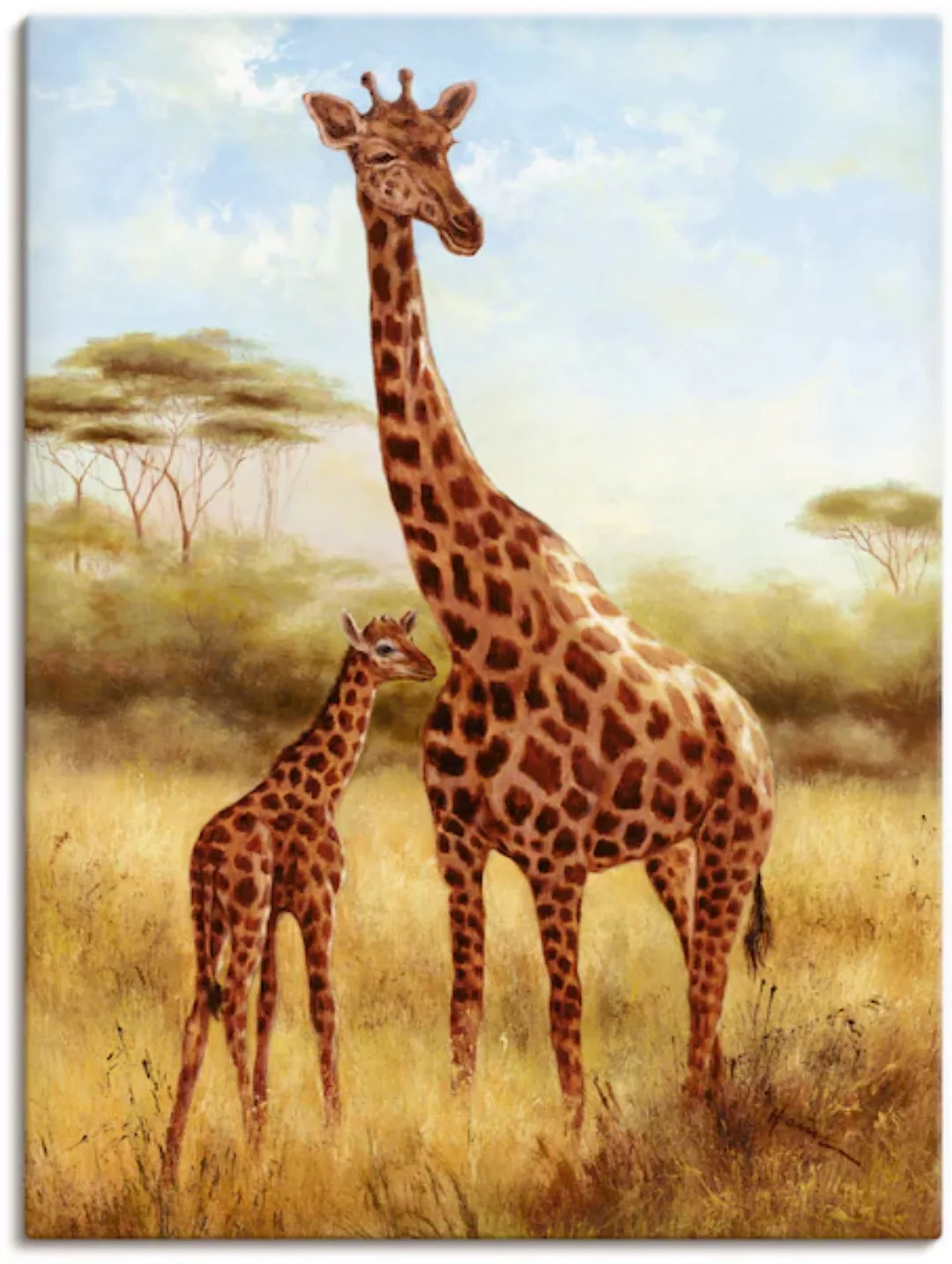 Artland Leinwandbild "Giraffe", Wildtiere, (1 St.), auf Keilrahmen gespannt günstig online kaufen