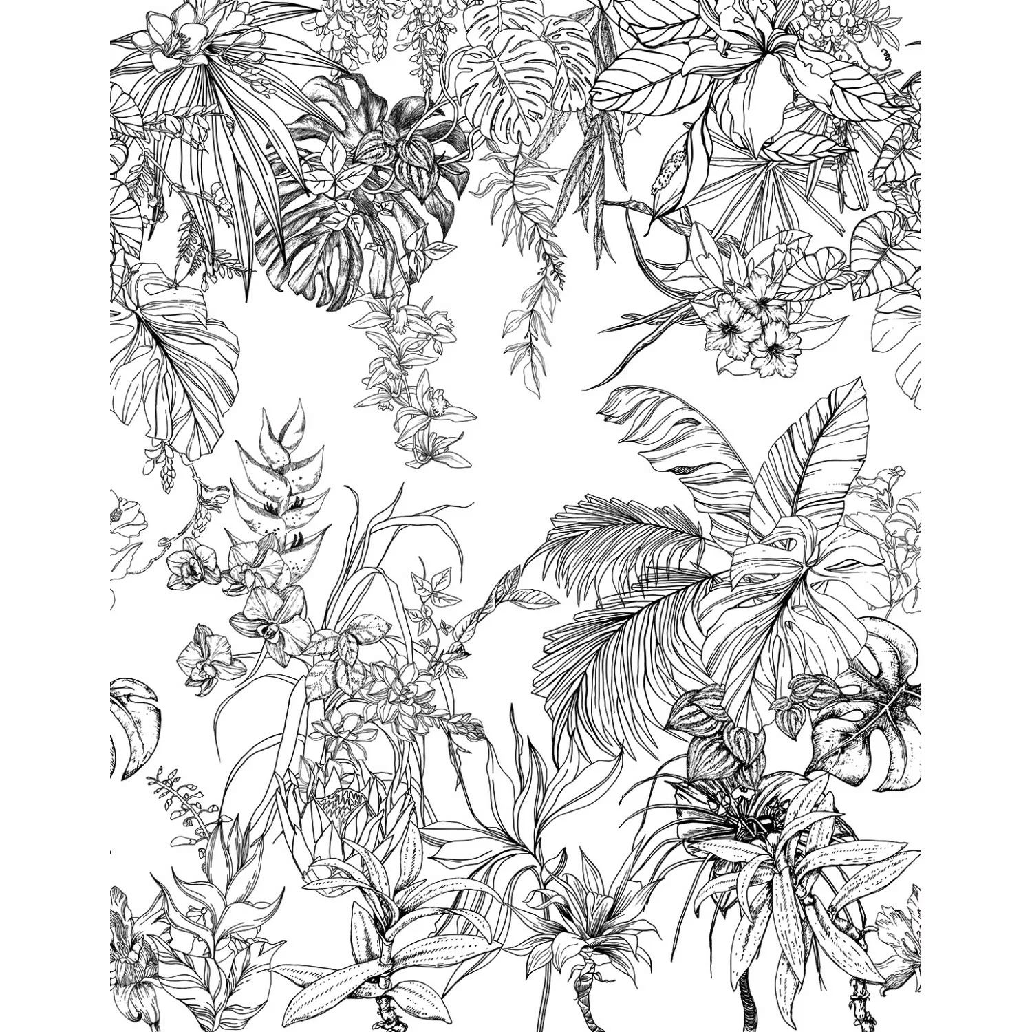 Schöner Wohnen Vliestapete 2 DD Floral Schwarz-Weiß 270 x 212 cm FSC® günstig online kaufen