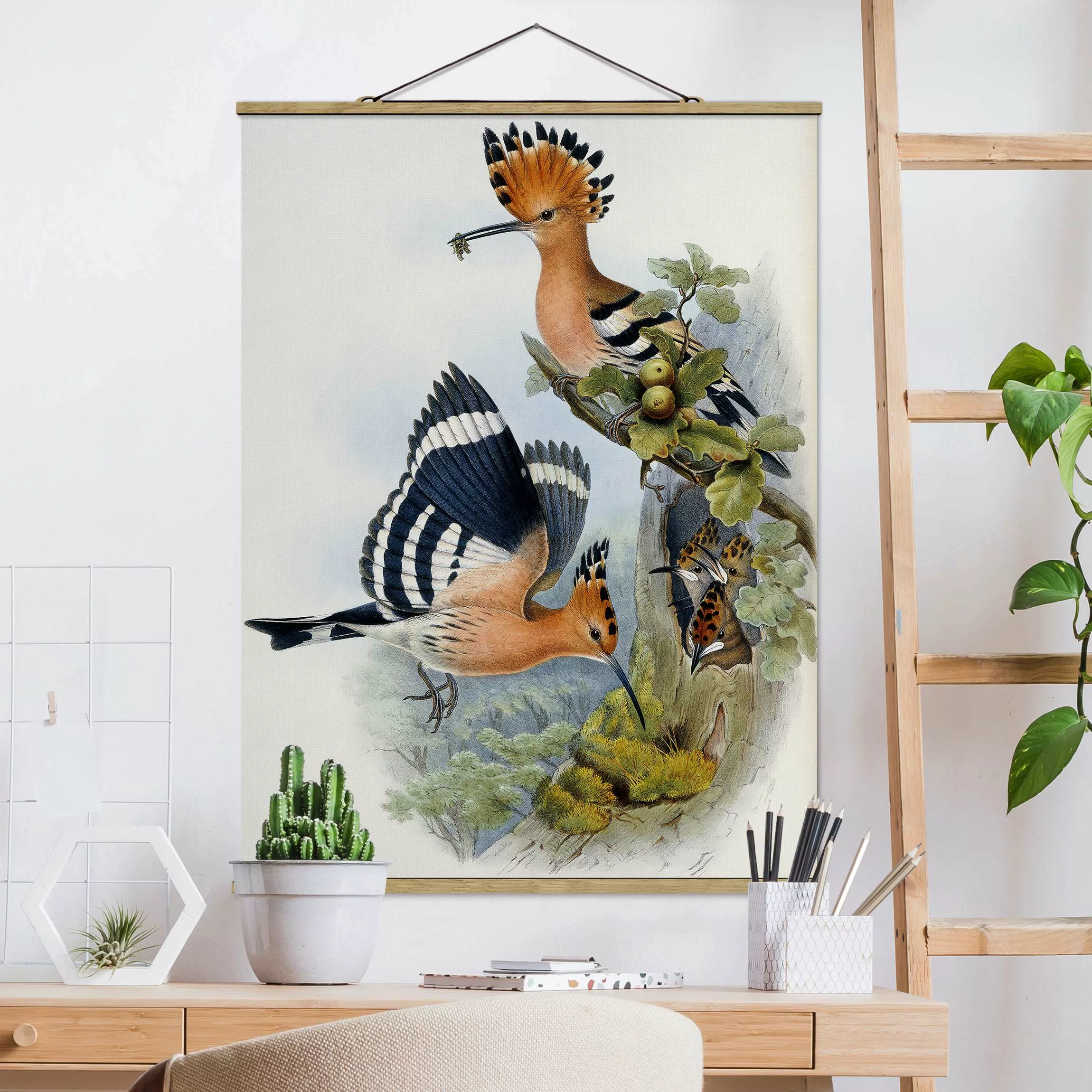 Stoffbild Tiere mit Posterleisten - Hochformat John Gould - Wiedehopf günstig online kaufen