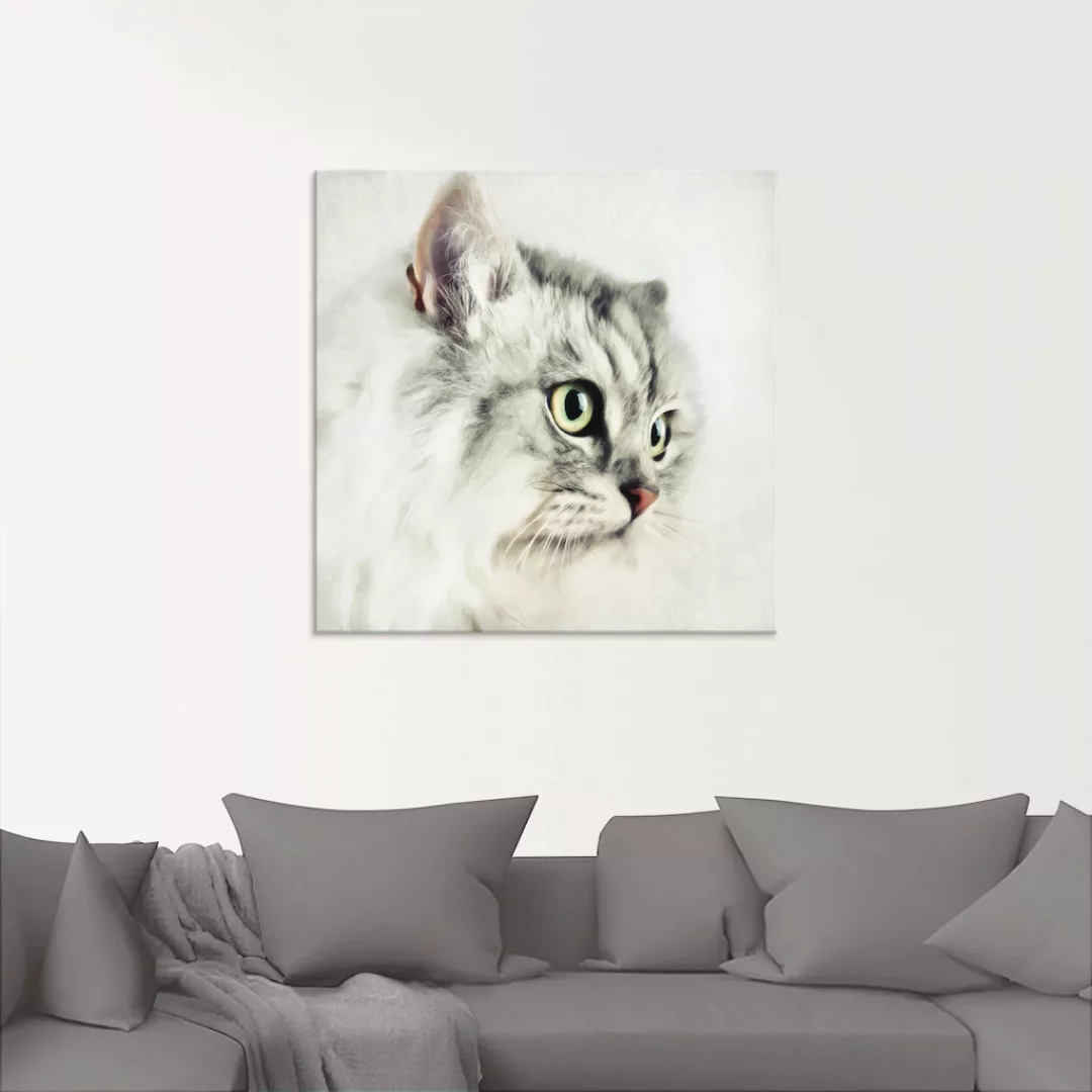 Artland Glasbild "Katzenporträt weiß", Haustiere, (1 St.), in verschiedenen günstig online kaufen