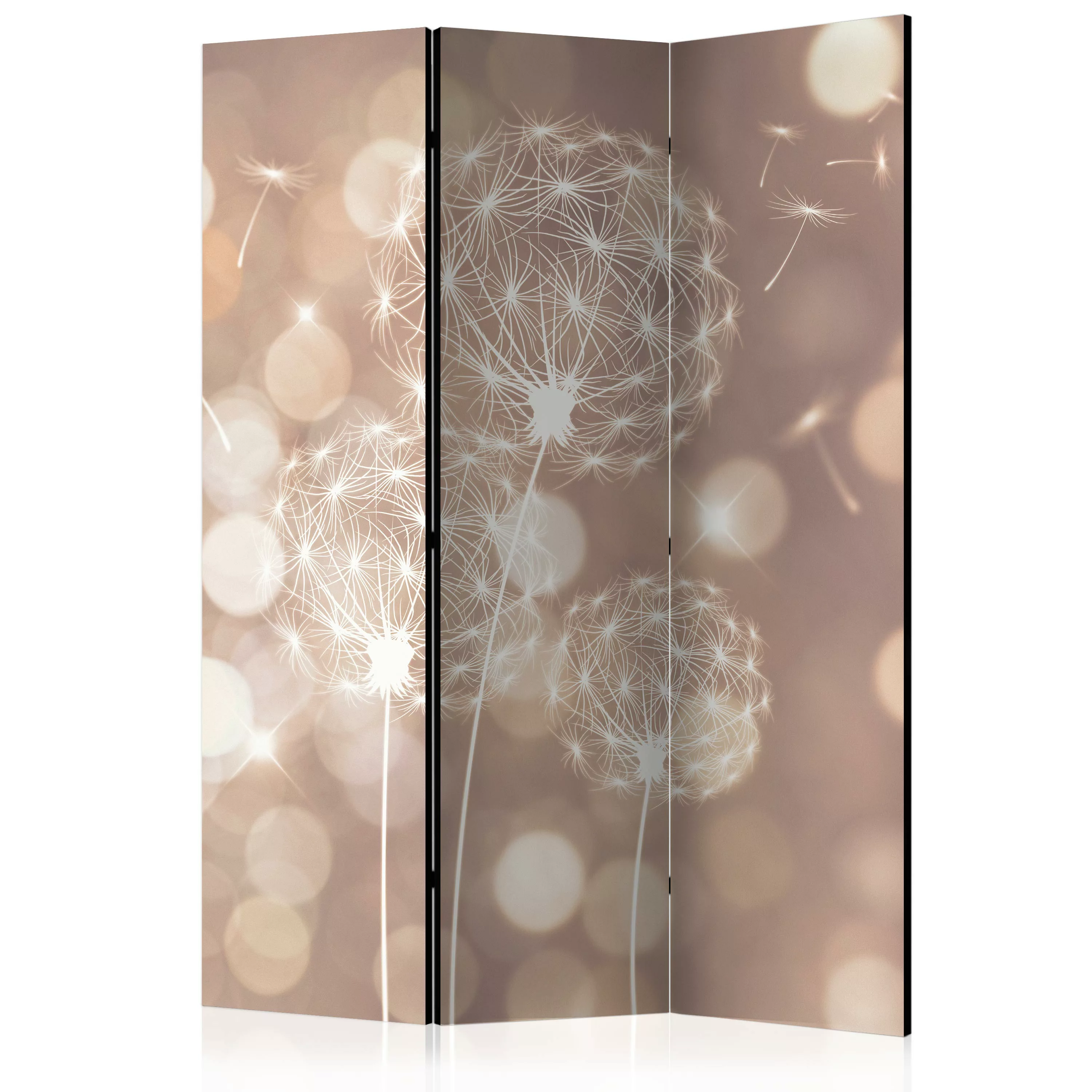 3-teiliges Paravent - Étude Of The Sun [room Dividers] günstig online kaufen