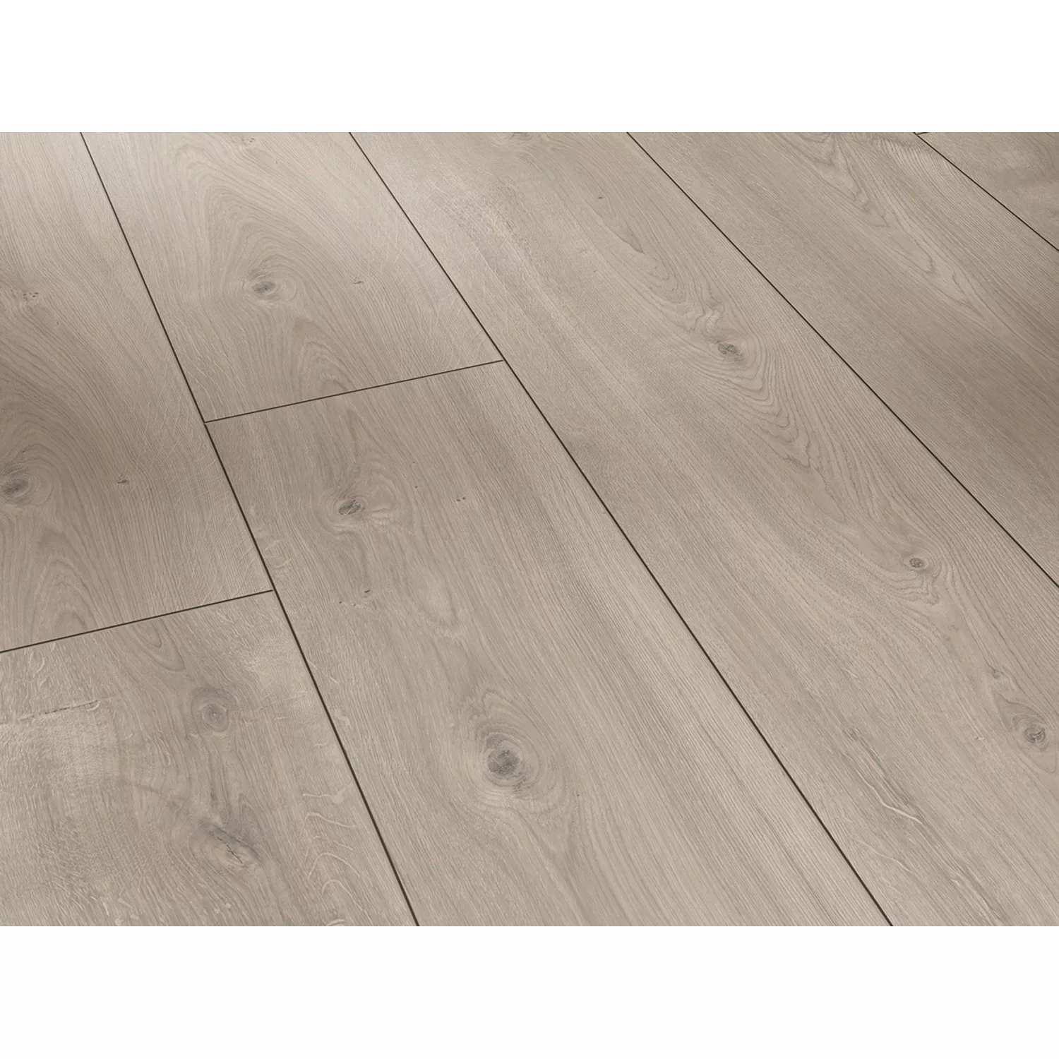 Parador Laminatboden Trendtime 6 Eiche Mistral Grau günstig online kaufen