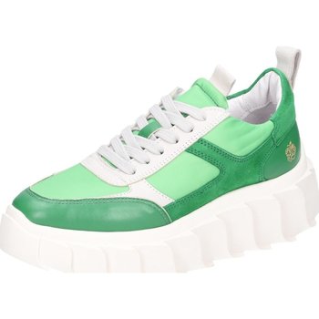 Apple Of Eden  Sneaker AW22-BLAIR 36 GREEN günstig online kaufen