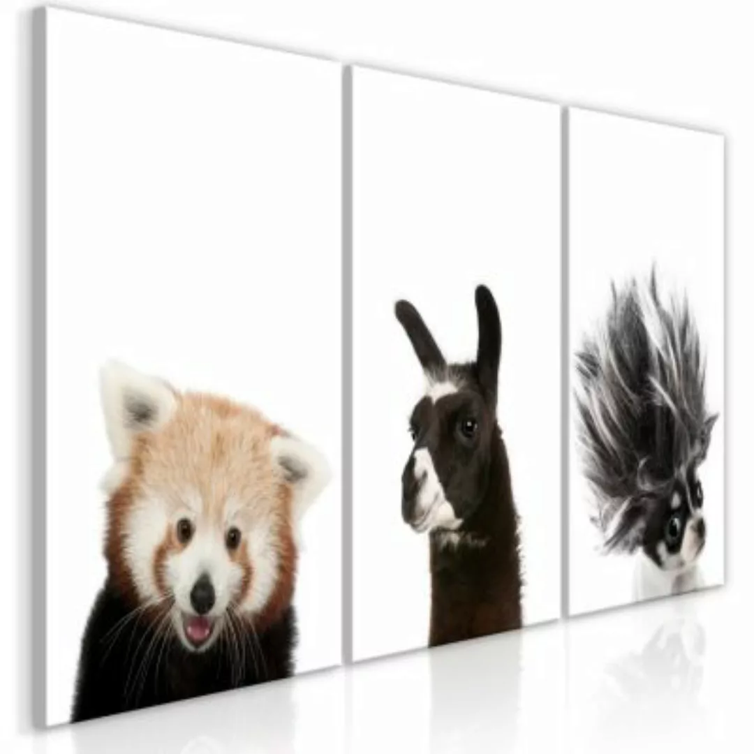 artgeist Wandbild Friendly Animals (Collection) mehrfarbig Gr. 60 x 30 günstig online kaufen