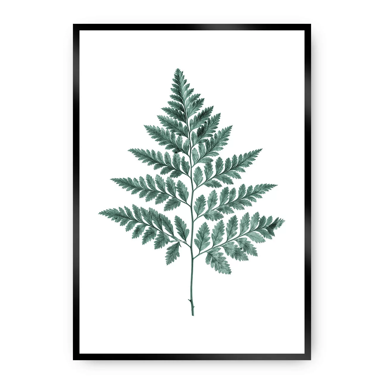 Poster Fern Emerald Green, 223-000-00, Rahmen wählen: schwarz günstig online kaufen