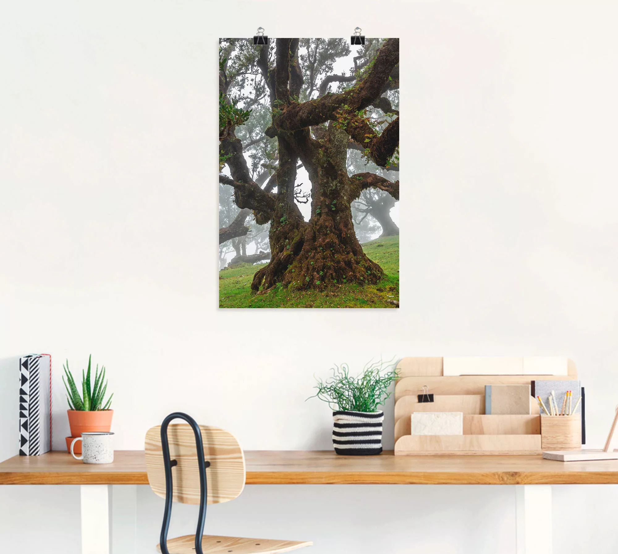 Artland Wandbild "Alter Lorbeerbaum", Bäume, (1 St.) günstig online kaufen