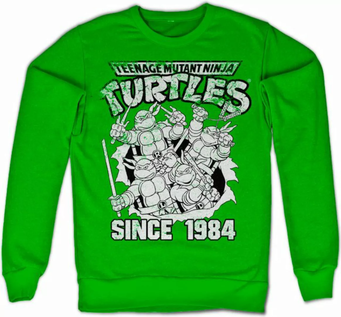 Teenage Mutant Ninja Turtles Rundhalspullover günstig online kaufen