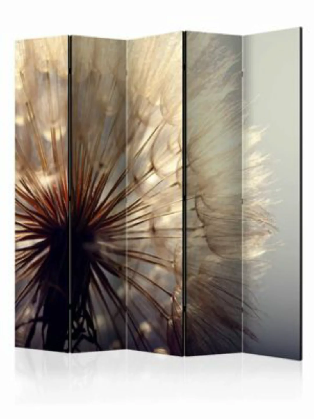 artgeist Paravent Dandelion Kiss II [Room Dividers] braun-kombi Gr. 225 x 1 günstig online kaufen