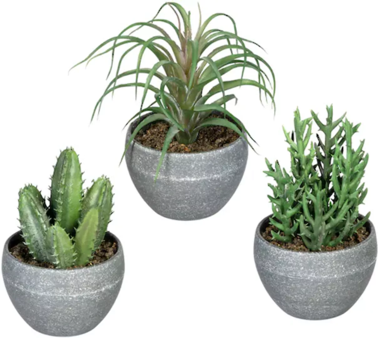 Creativ green Künstliche Zimmerpflanze »Sukkulenten«, im Melamintopf, 3er S günstig online kaufen