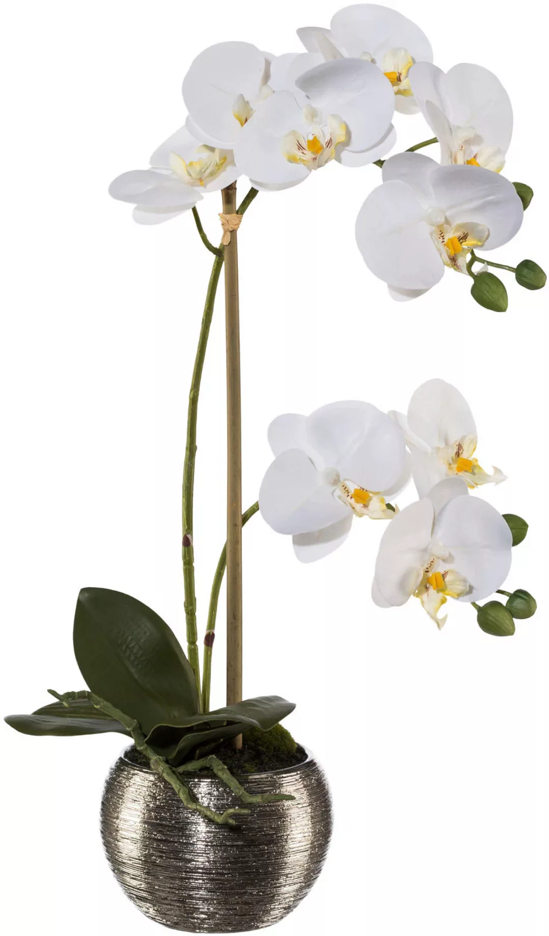 Creativ green Kunstorchidee "Phalaenopsis im Silbertopf", mit Real-Touch-Bl günstig online kaufen