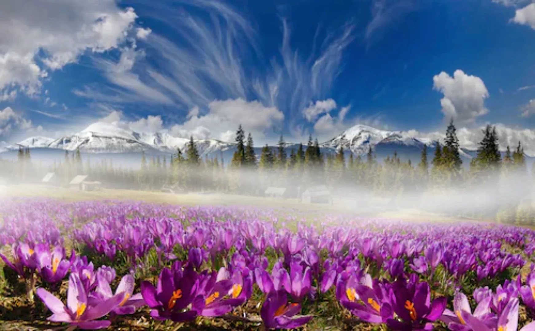 Papermoon Fototapete »Karpatengebirgsblumen« günstig online kaufen