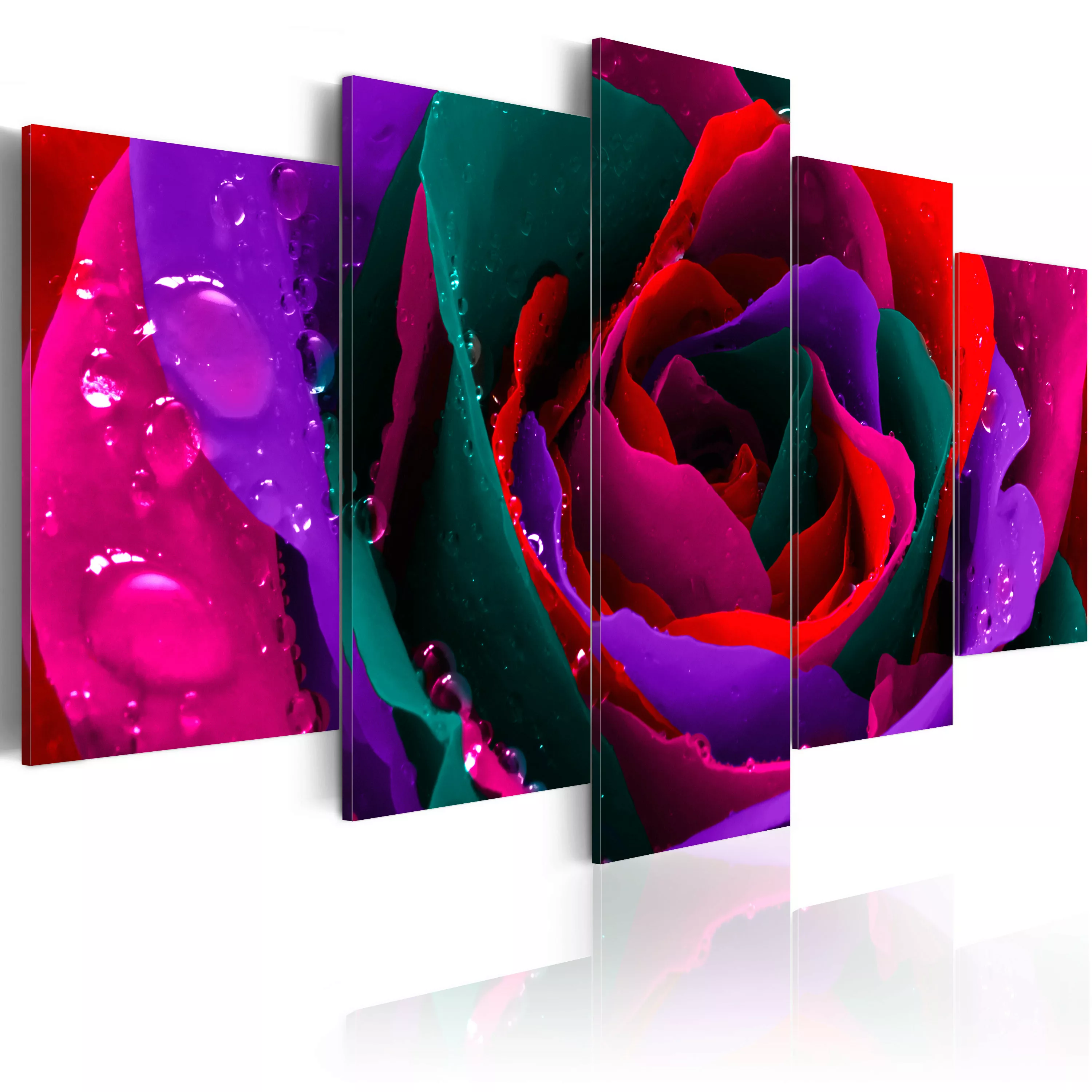 Wandbild - Multicoloured Rose günstig online kaufen