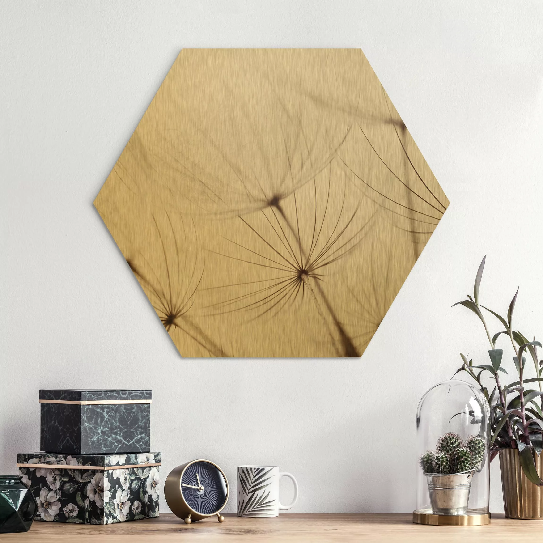 Hexagon-Alu-Dibond Bild Blumen Sanfte Gräser günstig online kaufen