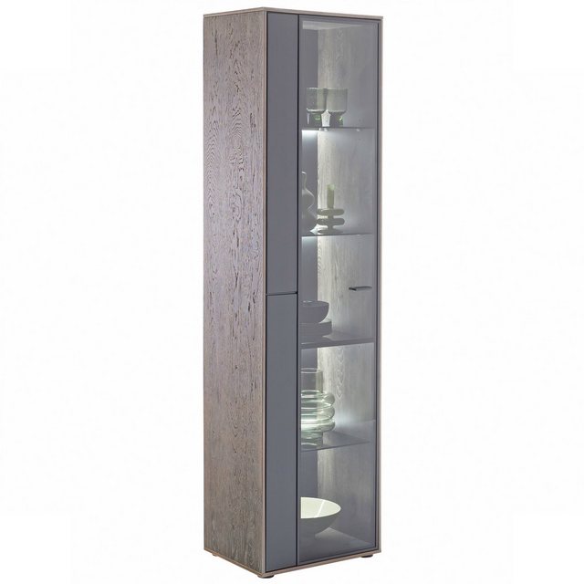 expendio Vitrine Velina 1 Softblack, lackiert / Vulcano Eiche furniert, 50x günstig online kaufen