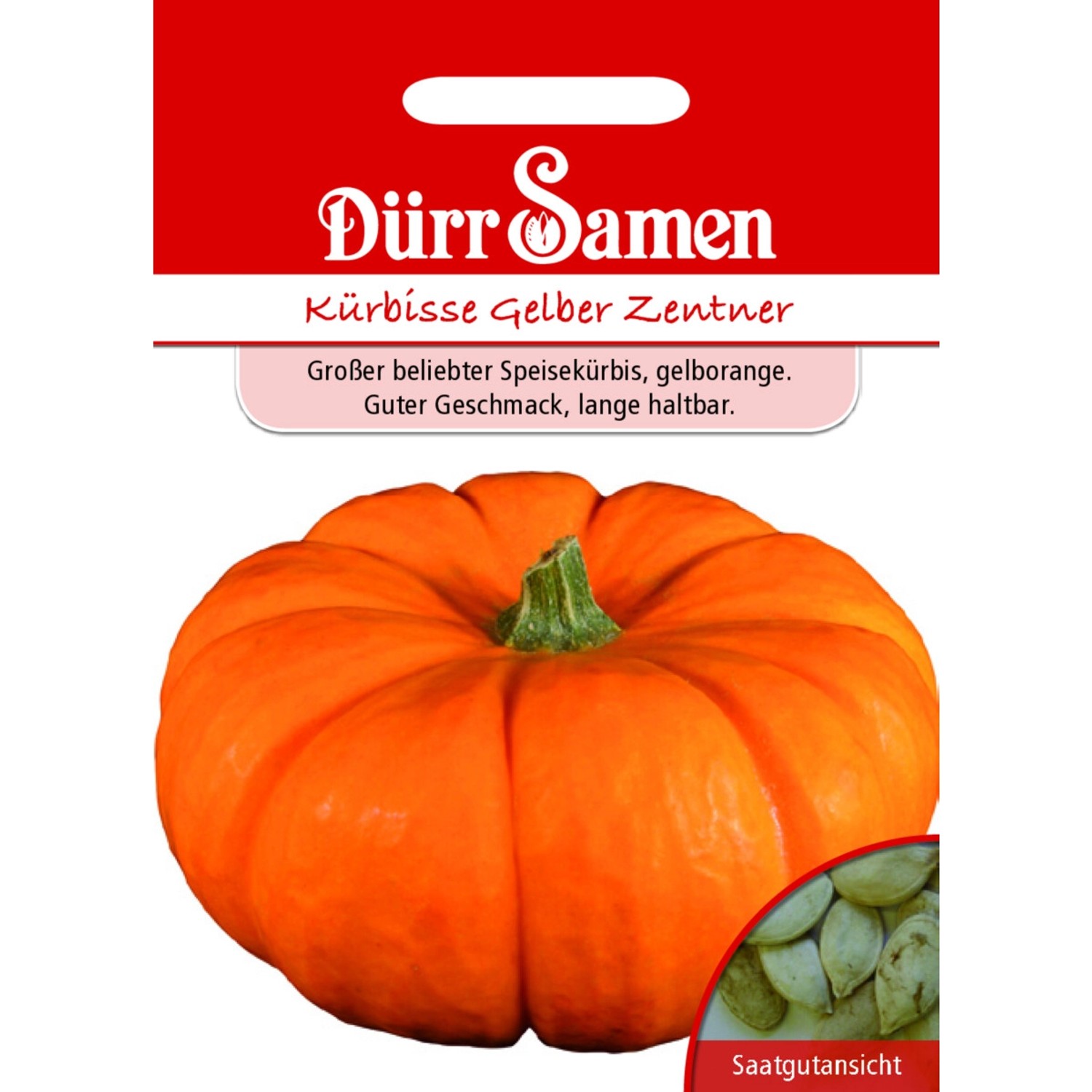 Dürr Samen Kürbis Gelber Zentner Saatgut günstig online kaufen