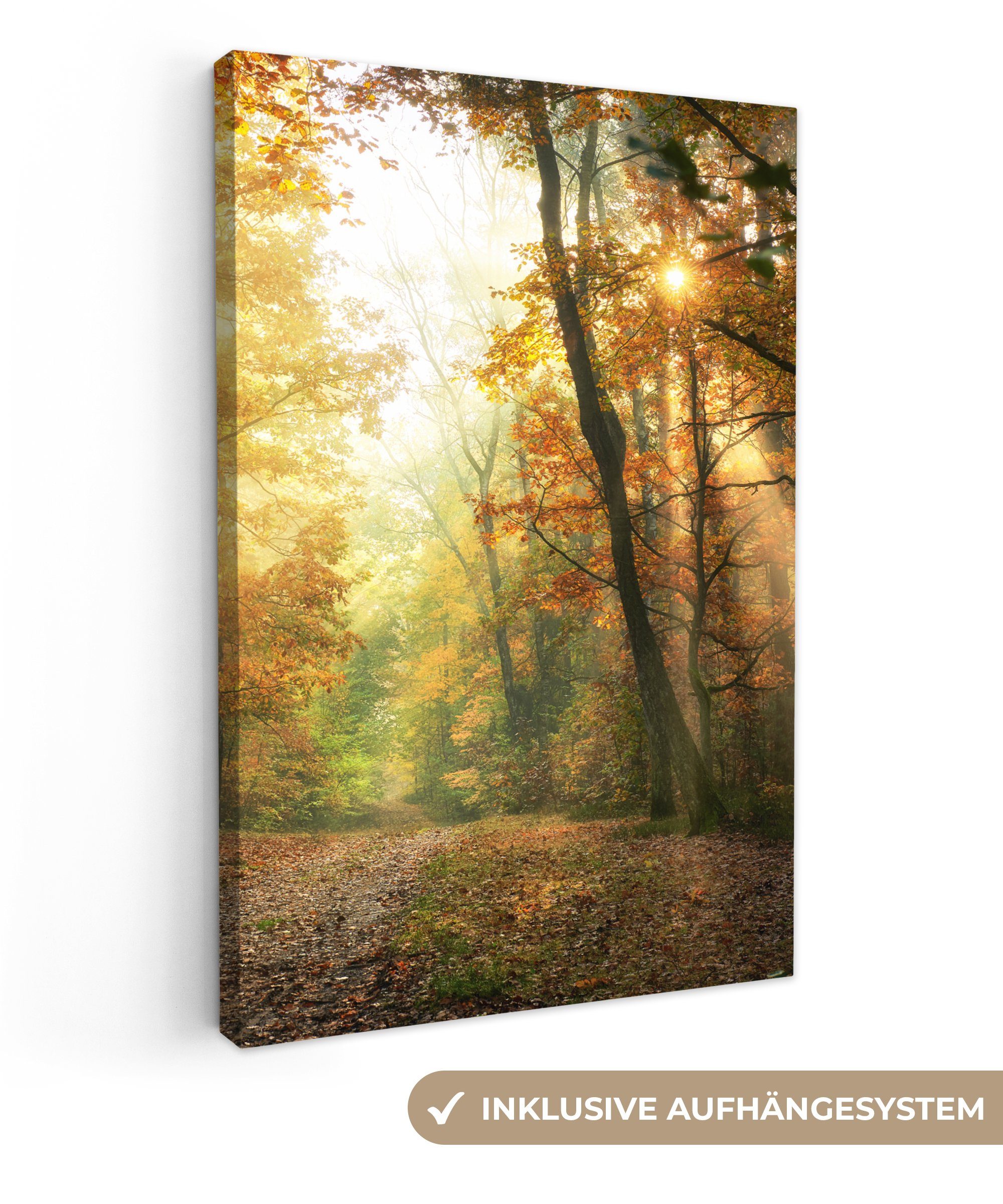 OneMillionCanvasses® Leinwandbild Wald - Herbst - günstig online kaufen