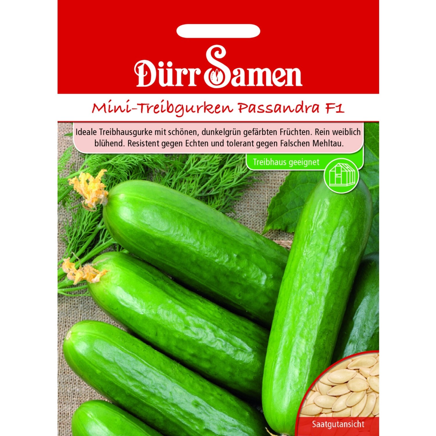 Dürr Samen Mini-Treibgurken Passandra F1 Saatgut günstig online kaufen