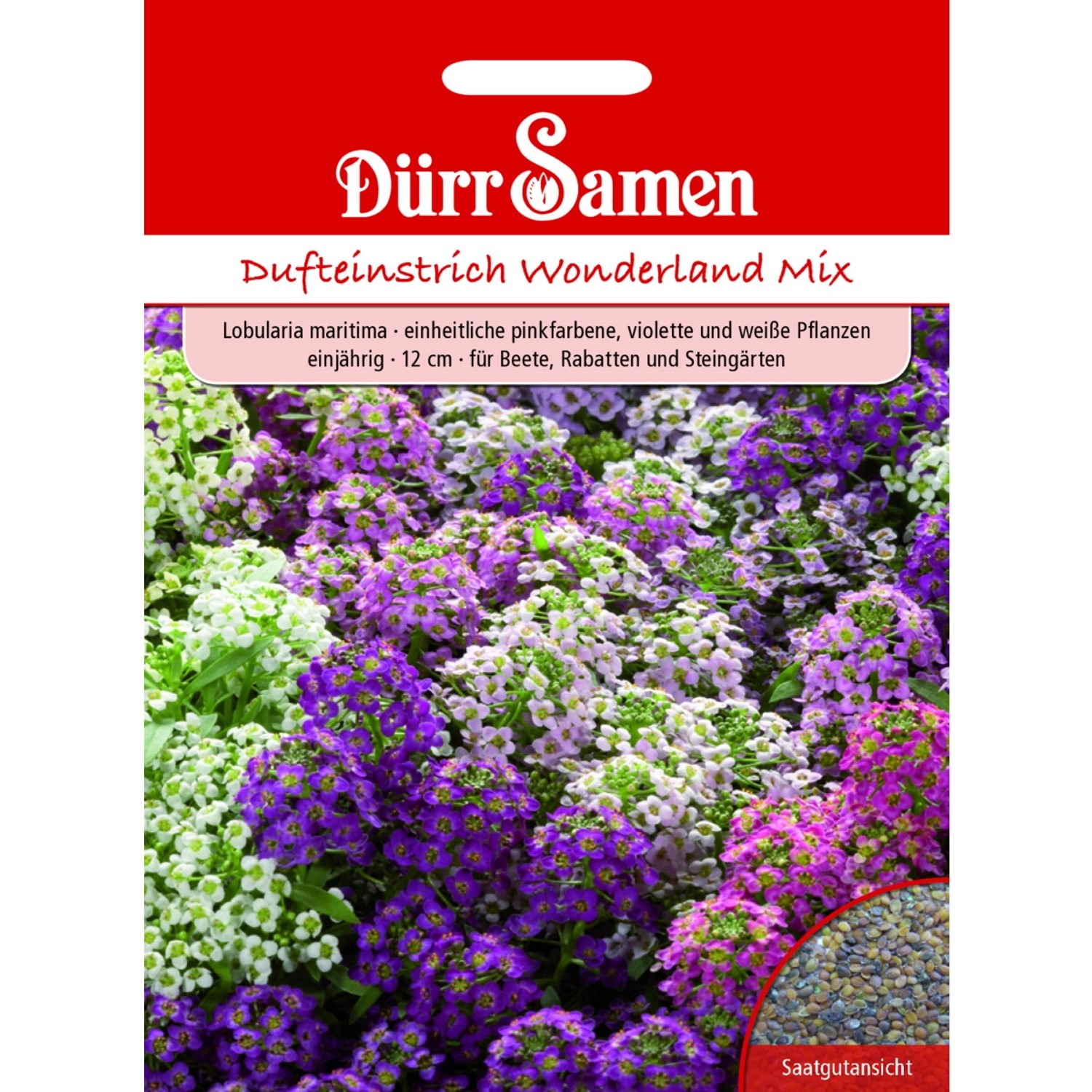 Dürr Samen Duftsteinrich Wonderland Mix Einjährig Saatgut günstig online kaufen