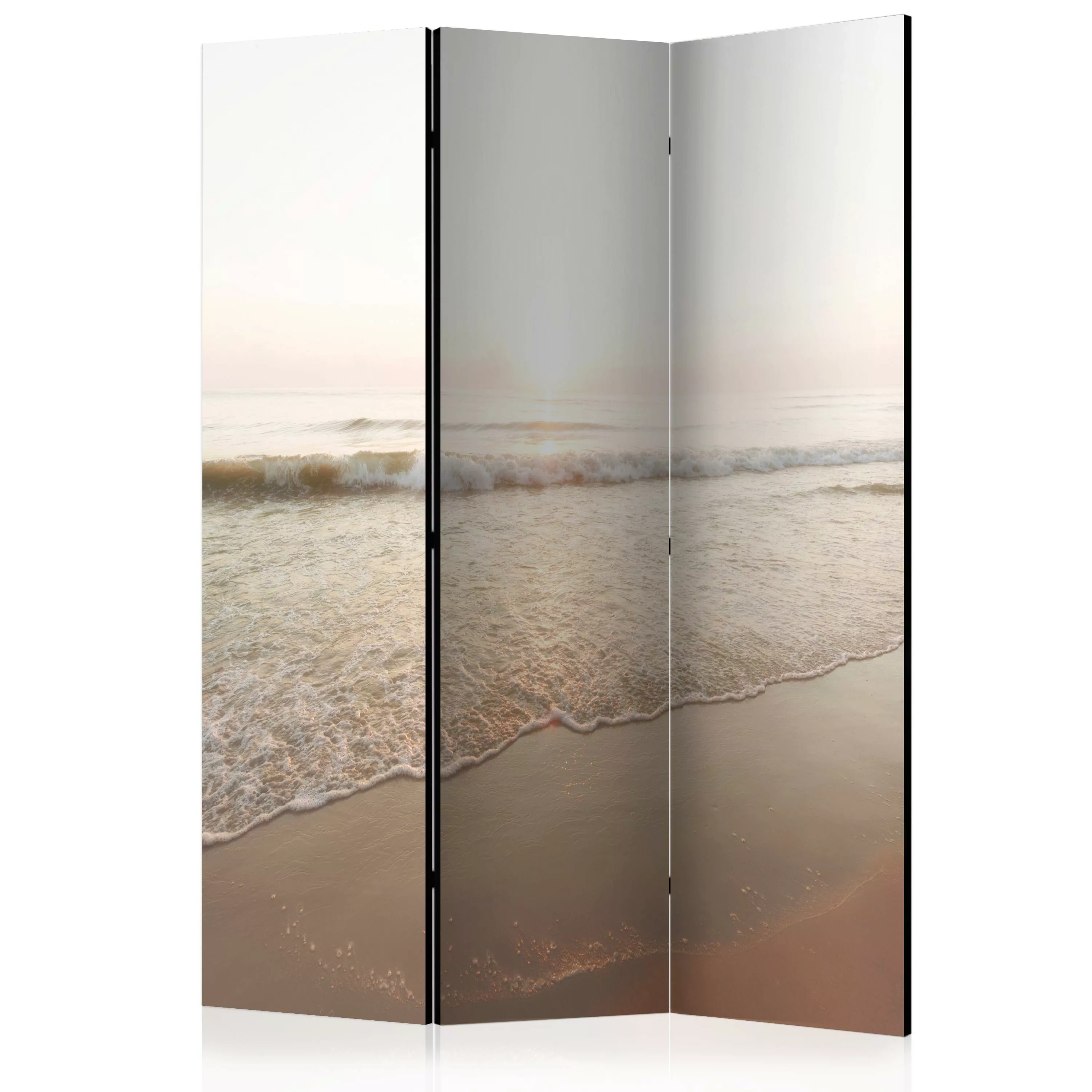 3-teiliges Paravent - Magnificent Morning [room Dividers] günstig online kaufen