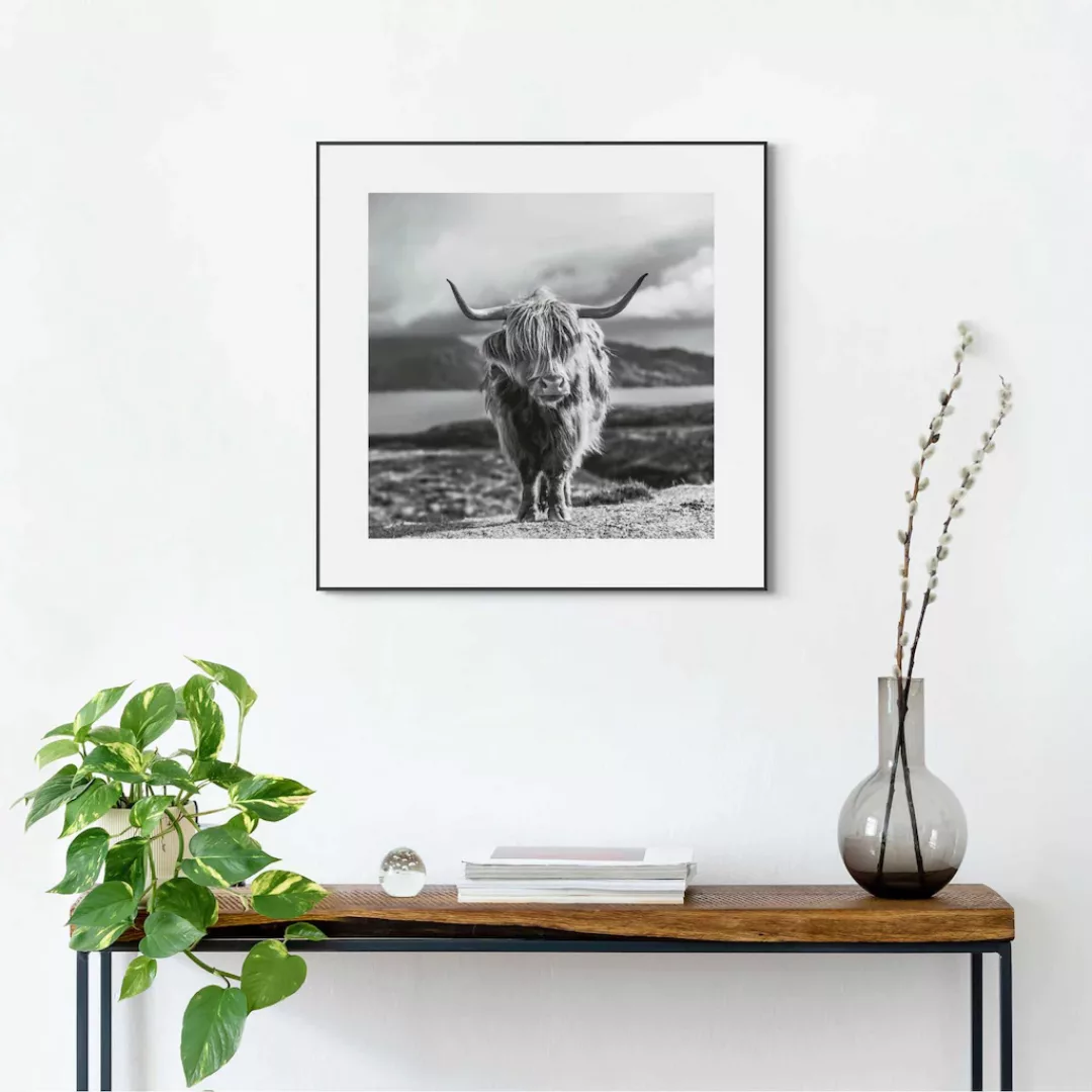 Reinders Wandbild "Slim Frame Black 50x50 Highland Cow" günstig online kaufen