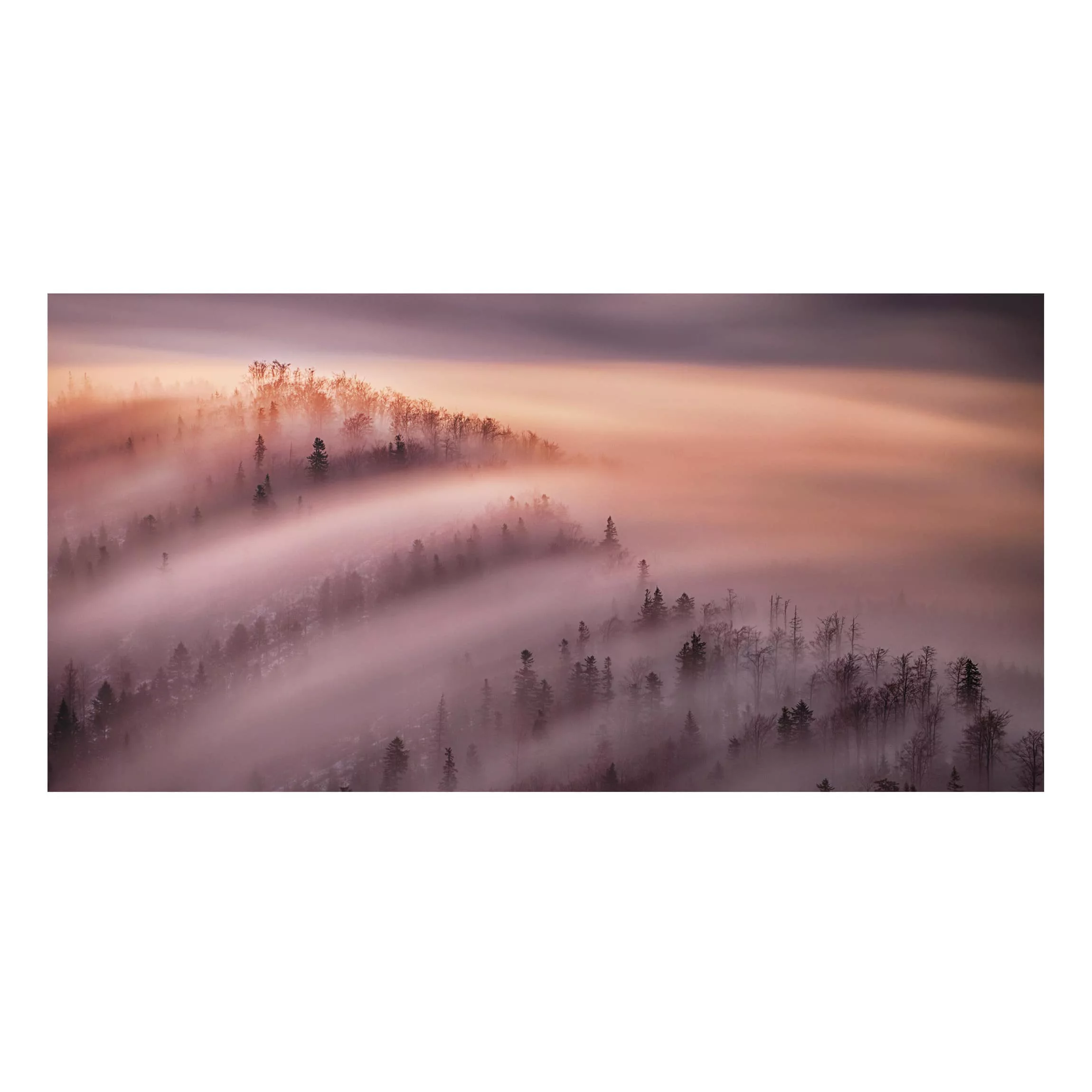 Alu-Dibond Bild Natur & Landschaft - Querformat Nebelflut günstig online kaufen