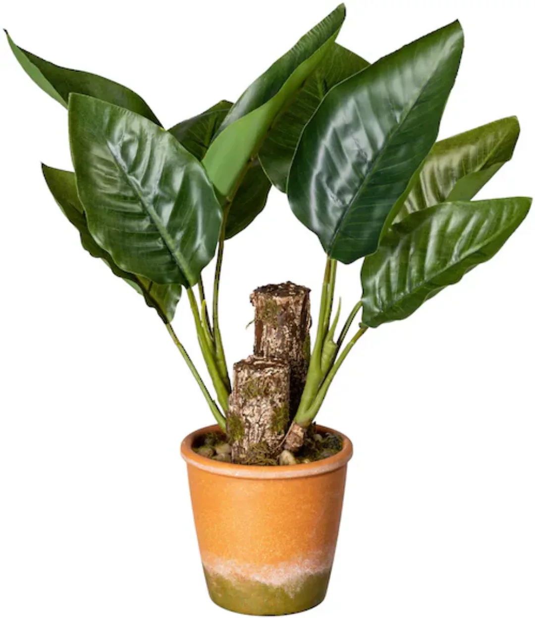 Creativ green Künstliche Zimmerpflanze "Blattpflanze Canna", im Paperpot günstig online kaufen
