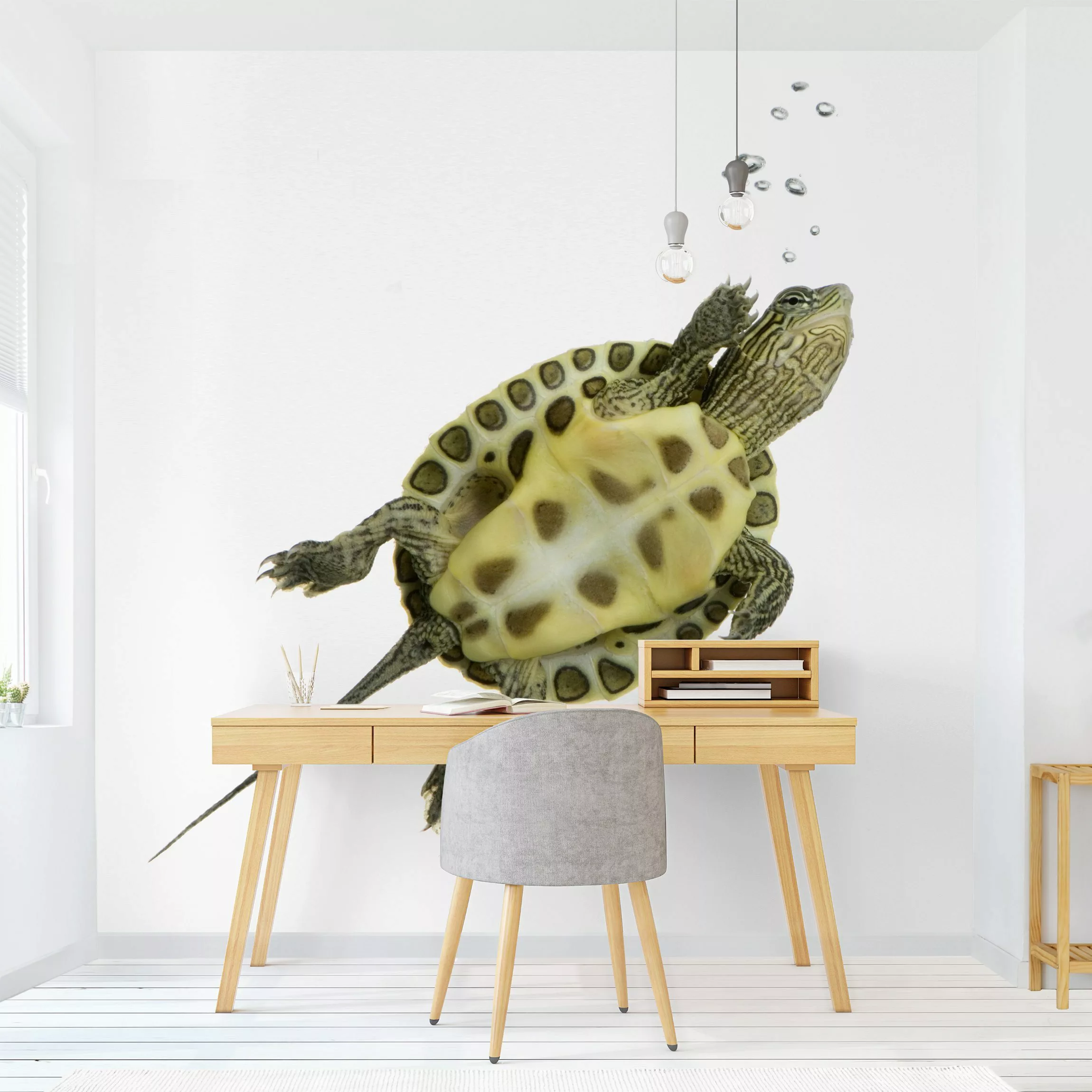 Fototapete Schwimmende Schildkröte günstig online kaufen