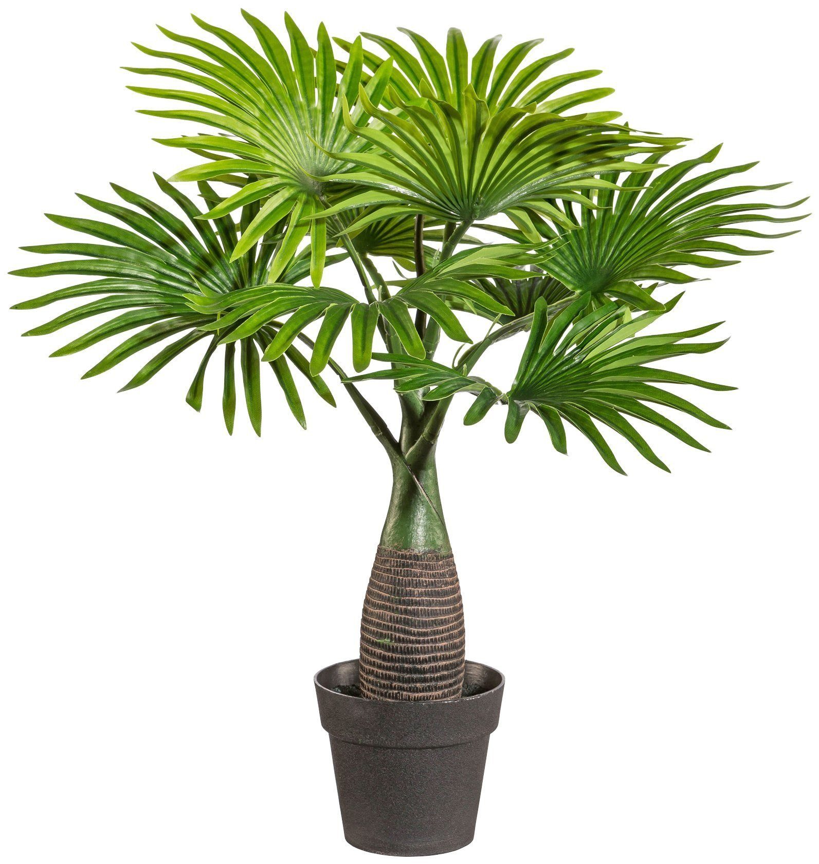 Kunstpalme Palme Mini Palme, Creativ green, günstig online kaufen