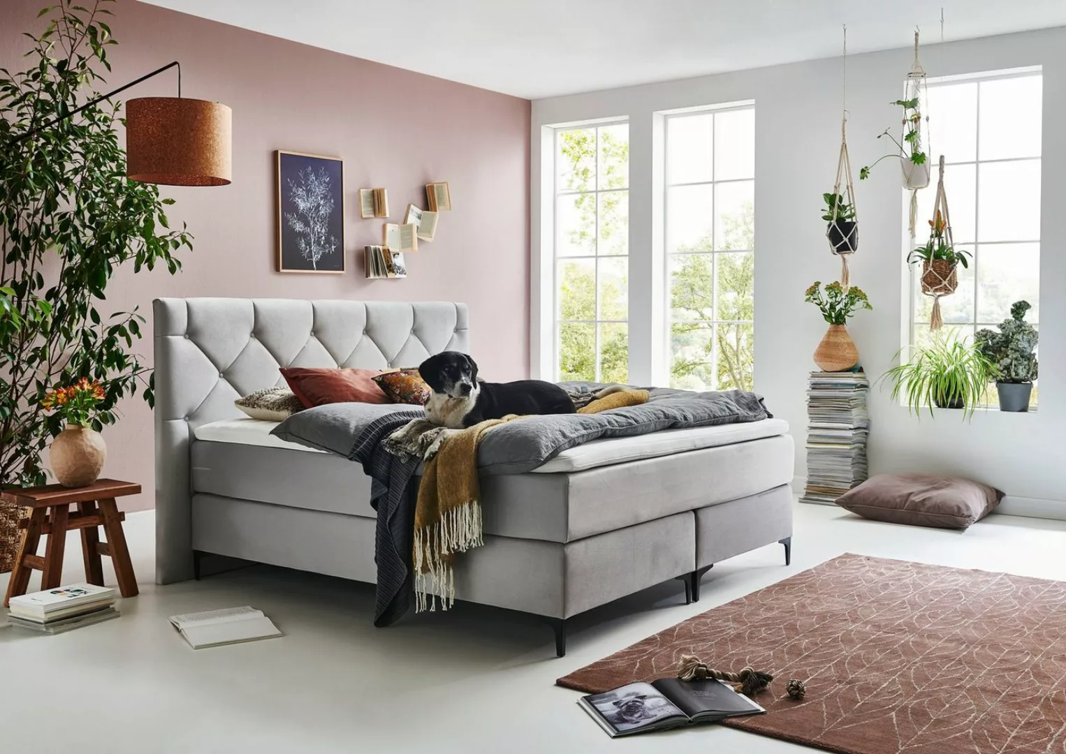 Home affaire Boxspringbett "Aiko", 100% vegan, mit tierfreundlichem Bezugss günstig online kaufen