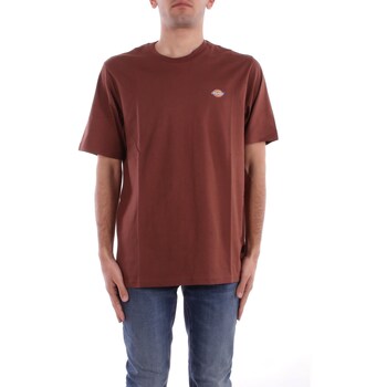 Dickies  T-Shirts & Poloshirts MAPLETON TEE SS DK0A4XDB-K471 CAPPUCCINO günstig online kaufen