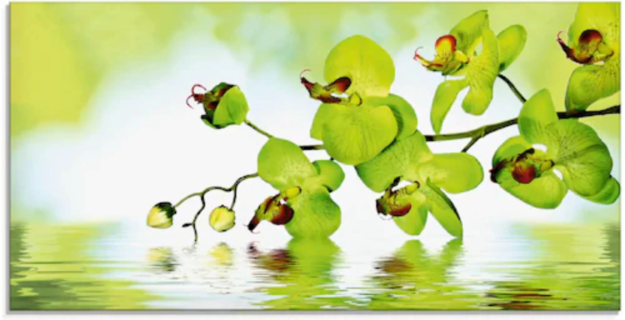 Artland Glasbild »Schöne Orchidee mit grünem Hintergrund«, Blumen, (1 St.), günstig online kaufen