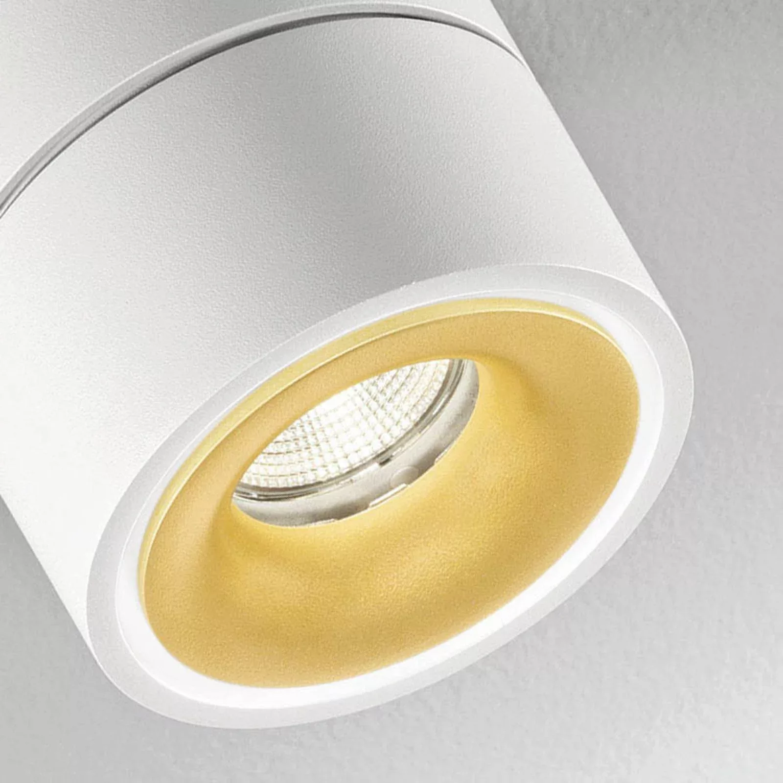 Egger Clippo Duo LED-Spot, weiß-gold, 3.000K günstig online kaufen