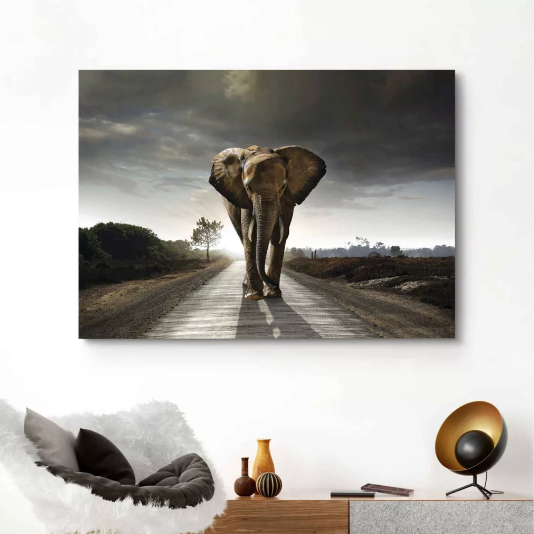 Reinders! Wandbild »Elefantenkönig Tiermotiv - Elefant - Natur«, (1 St.) günstig online kaufen