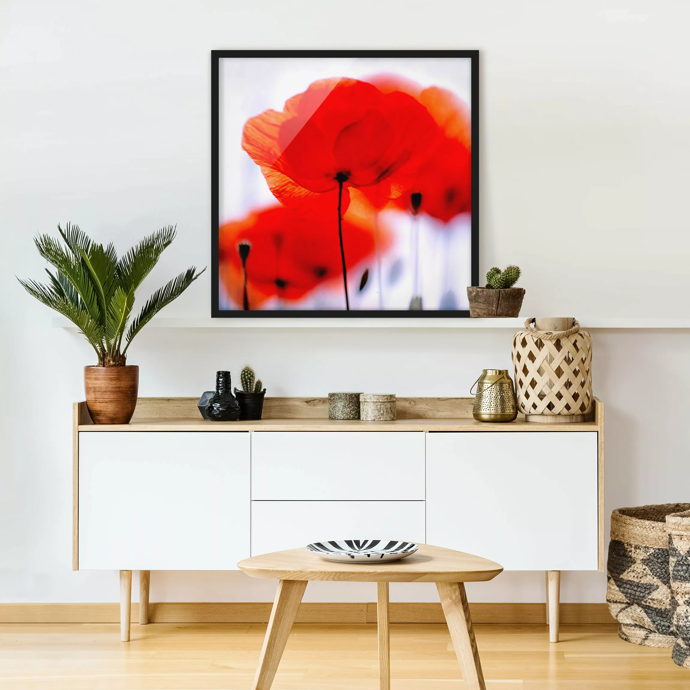 Bild mit Rahmen - Quadrat Magic Poppies günstig online kaufen